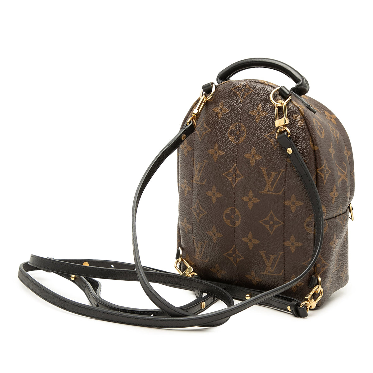 Louis Vuitton Monogram Mini Palm Springs