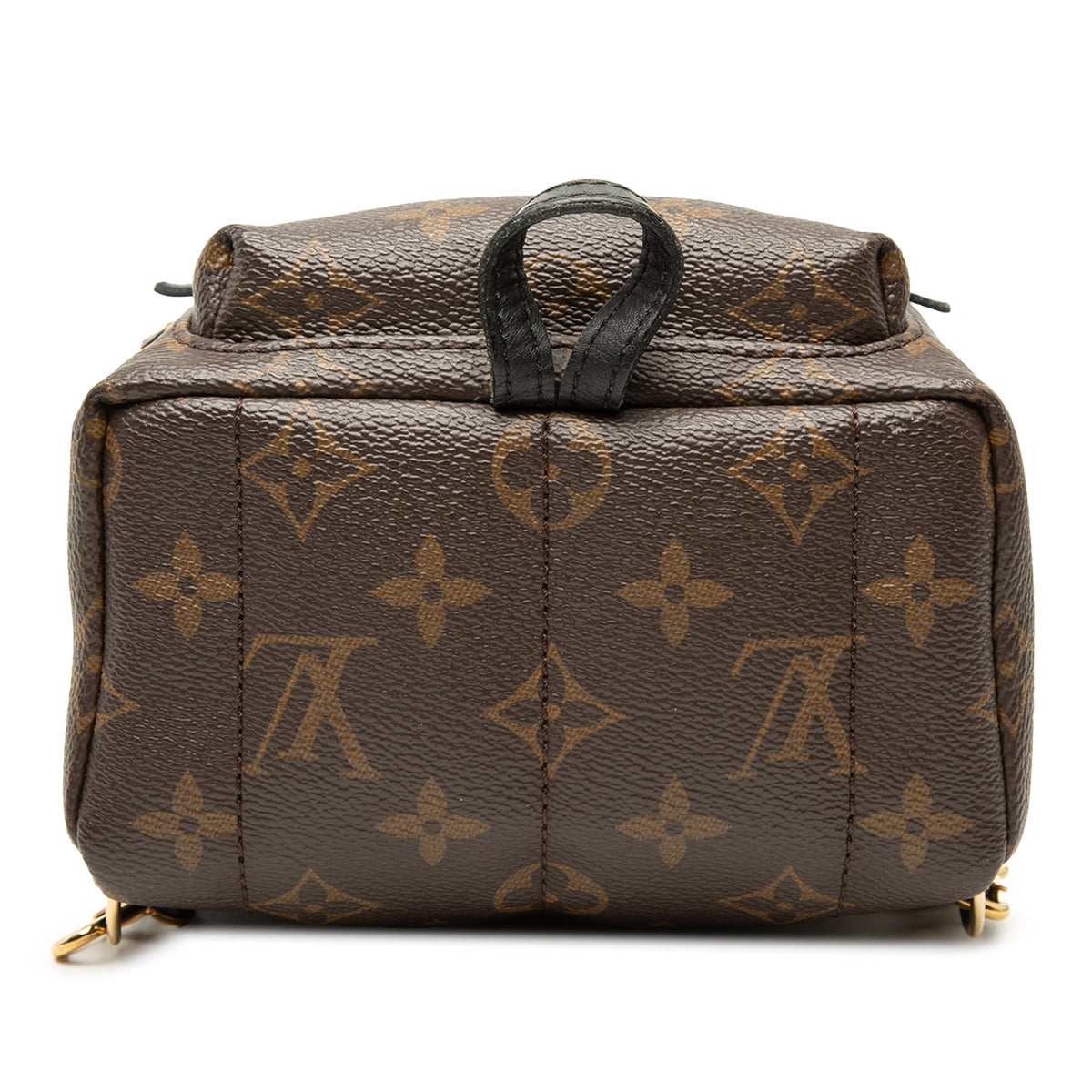 Louis Vuitton Monogram Mini Palm Springs