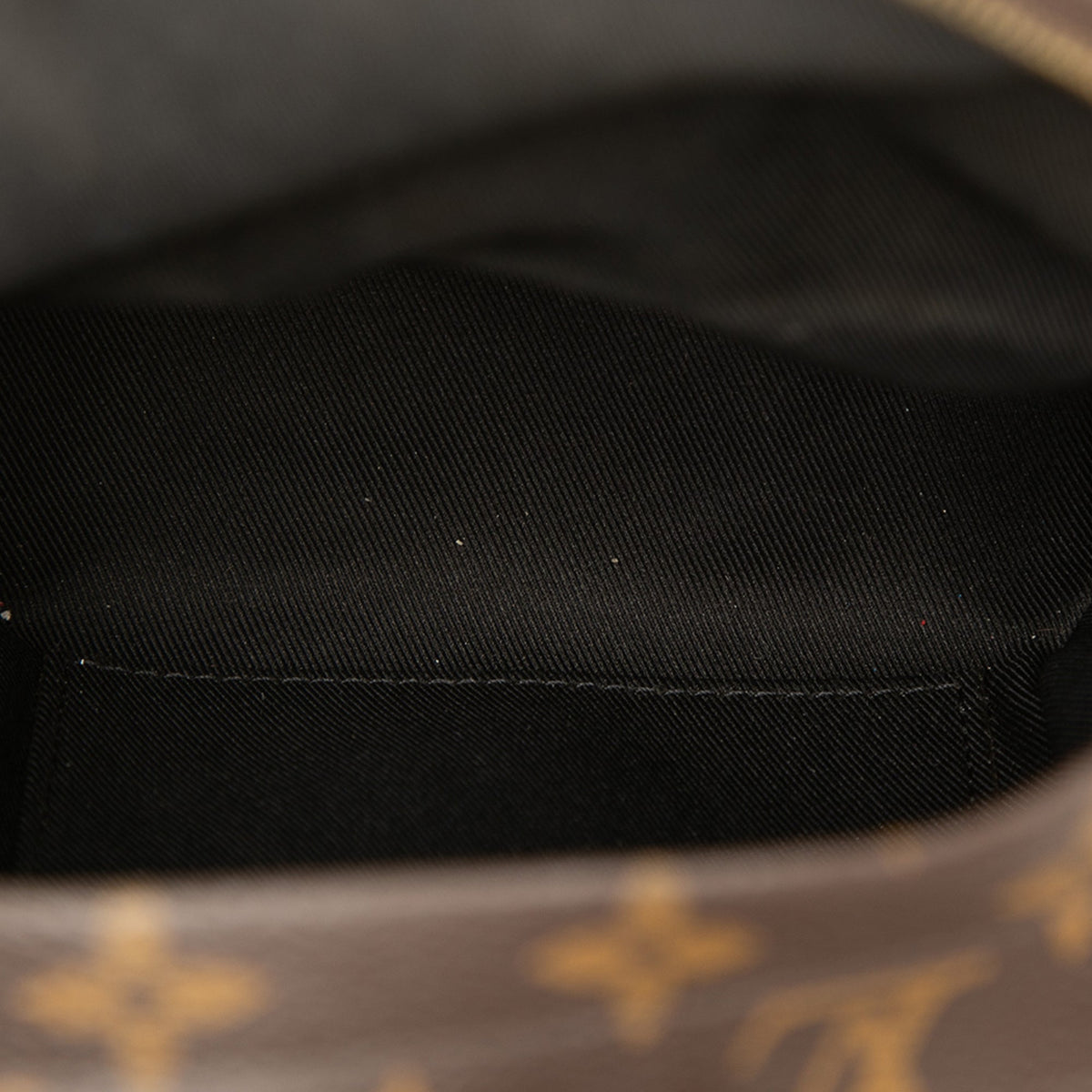 Louis Vuitton Monogram Mini Palm Springs