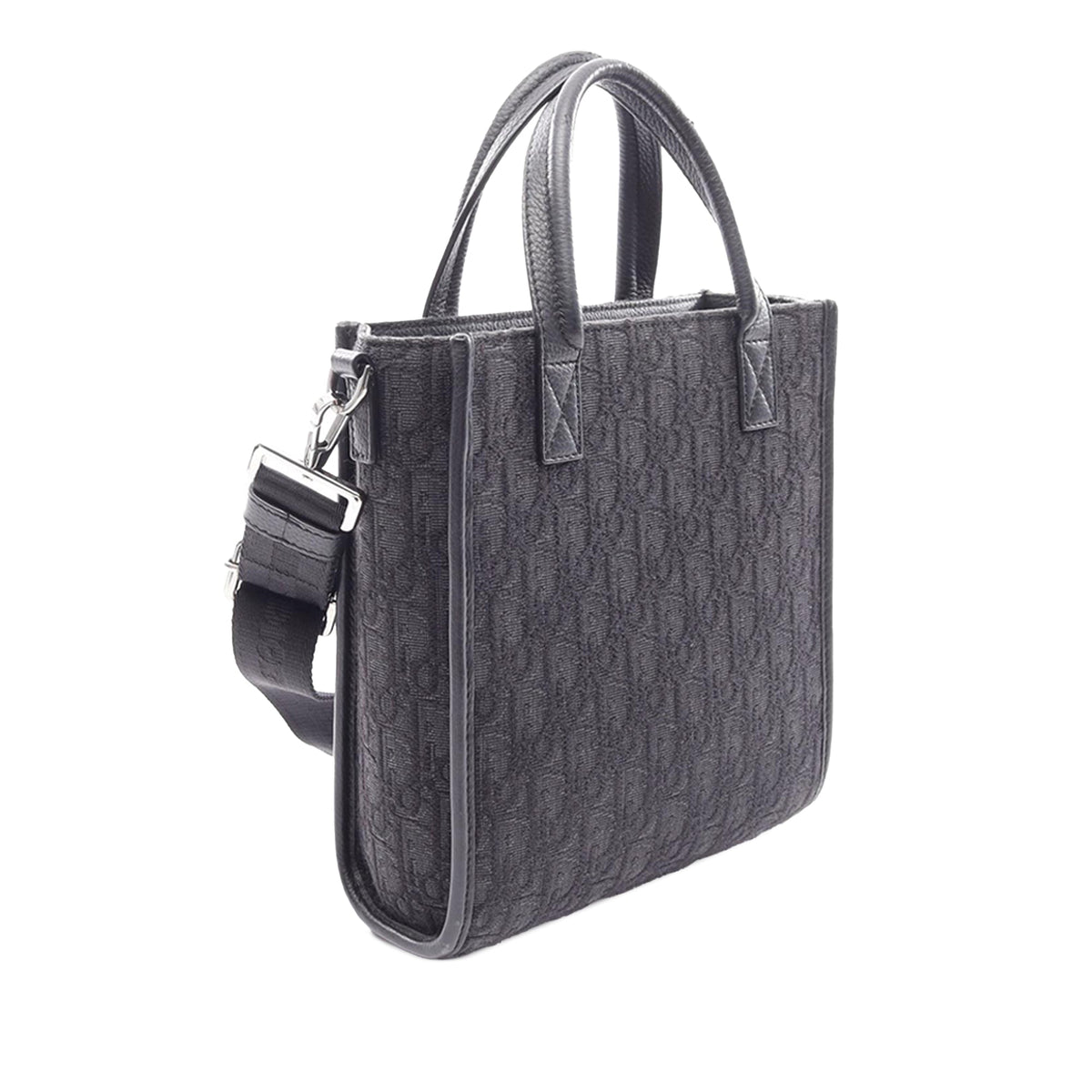 Dior Mini Oblique Canvas Safari North-South Tote
