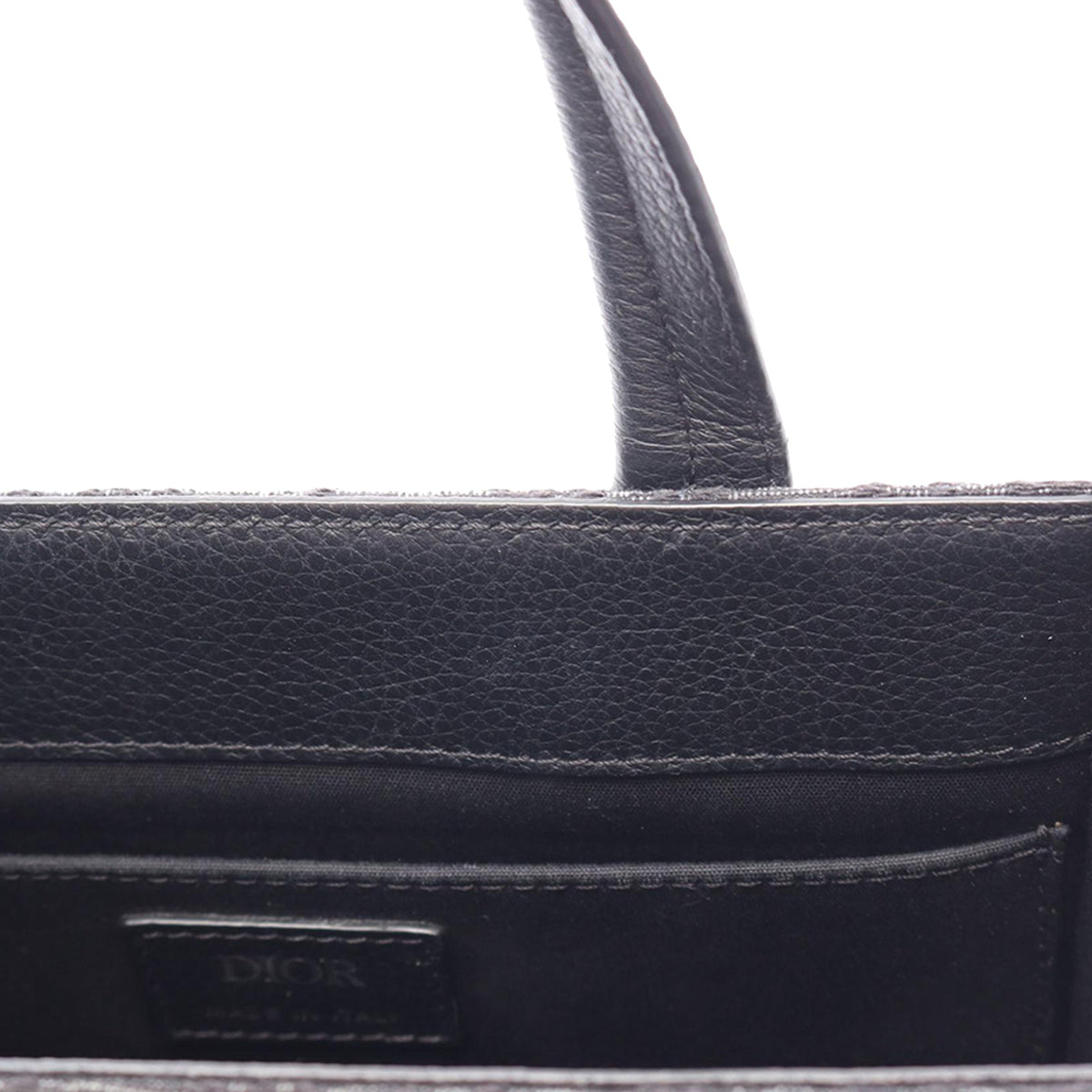 Dior Mini Oblique Canvas Safari North-South Tote