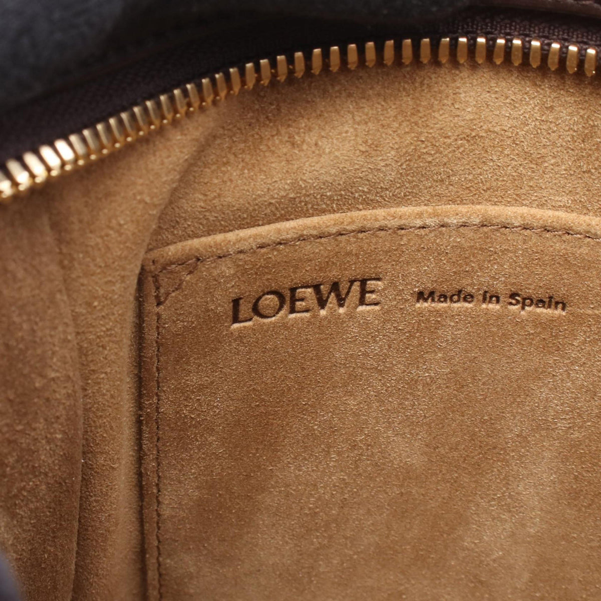 LOEWE Small Leather Amazona 180