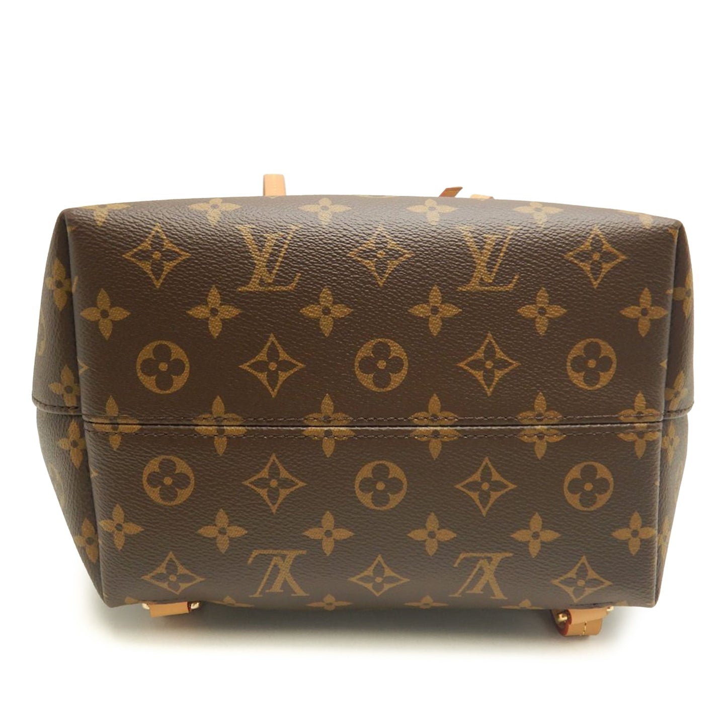 Louis Vuitton Monogram Montsouris PM