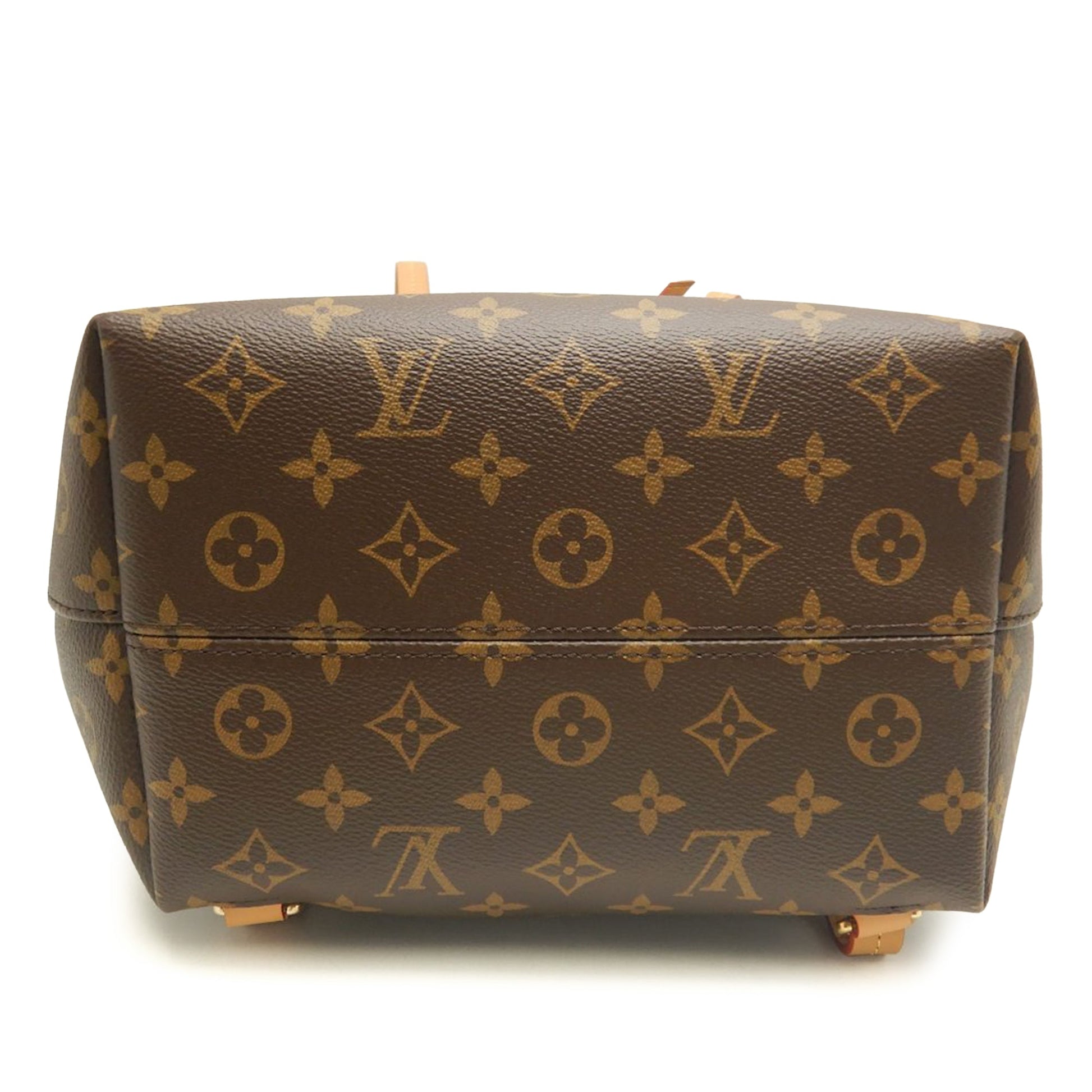 Louis Vuitton Monogram Montsouris PM