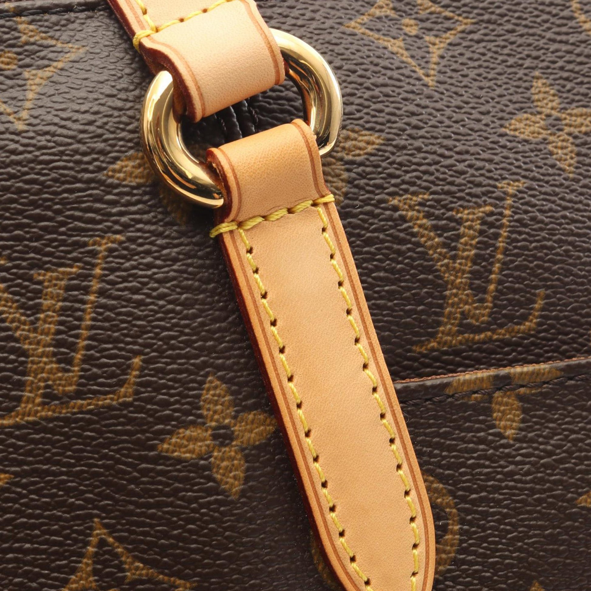 Louis Vuitton Monogram Totally PM