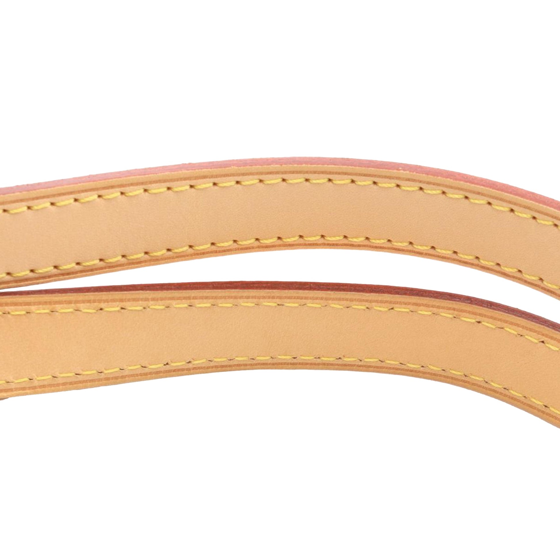 Louis Vuitton Monogram Totally PM