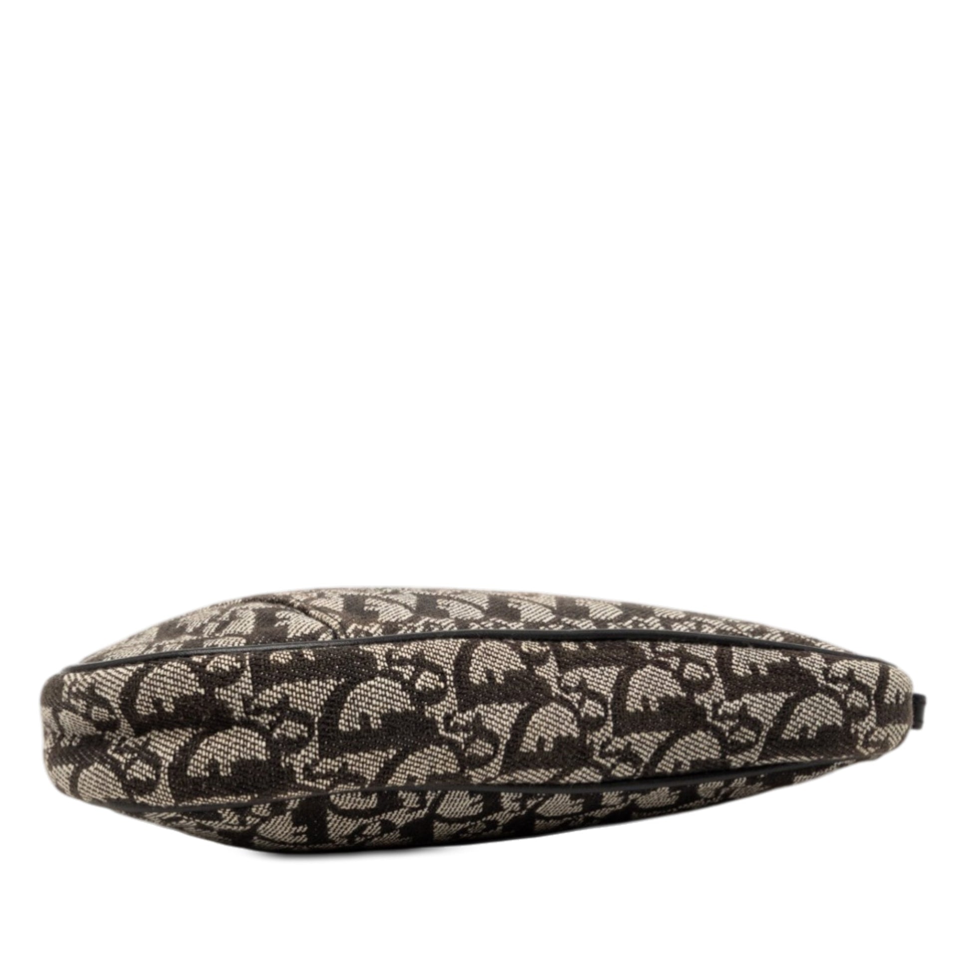 Dior Mini Diorissimo Canvas Saddle Pochette