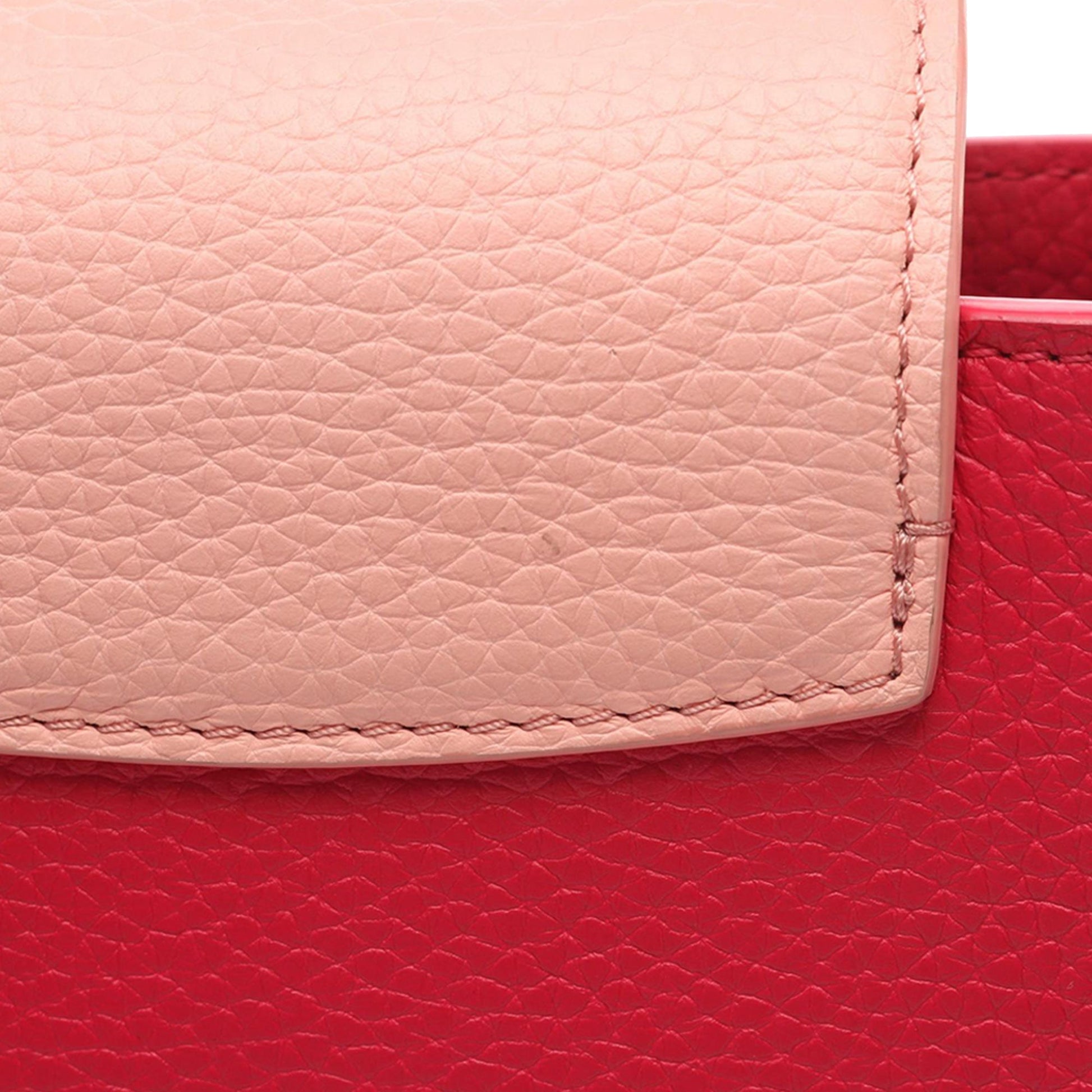 Louis Vuitton Taurillon Mini Capucines
