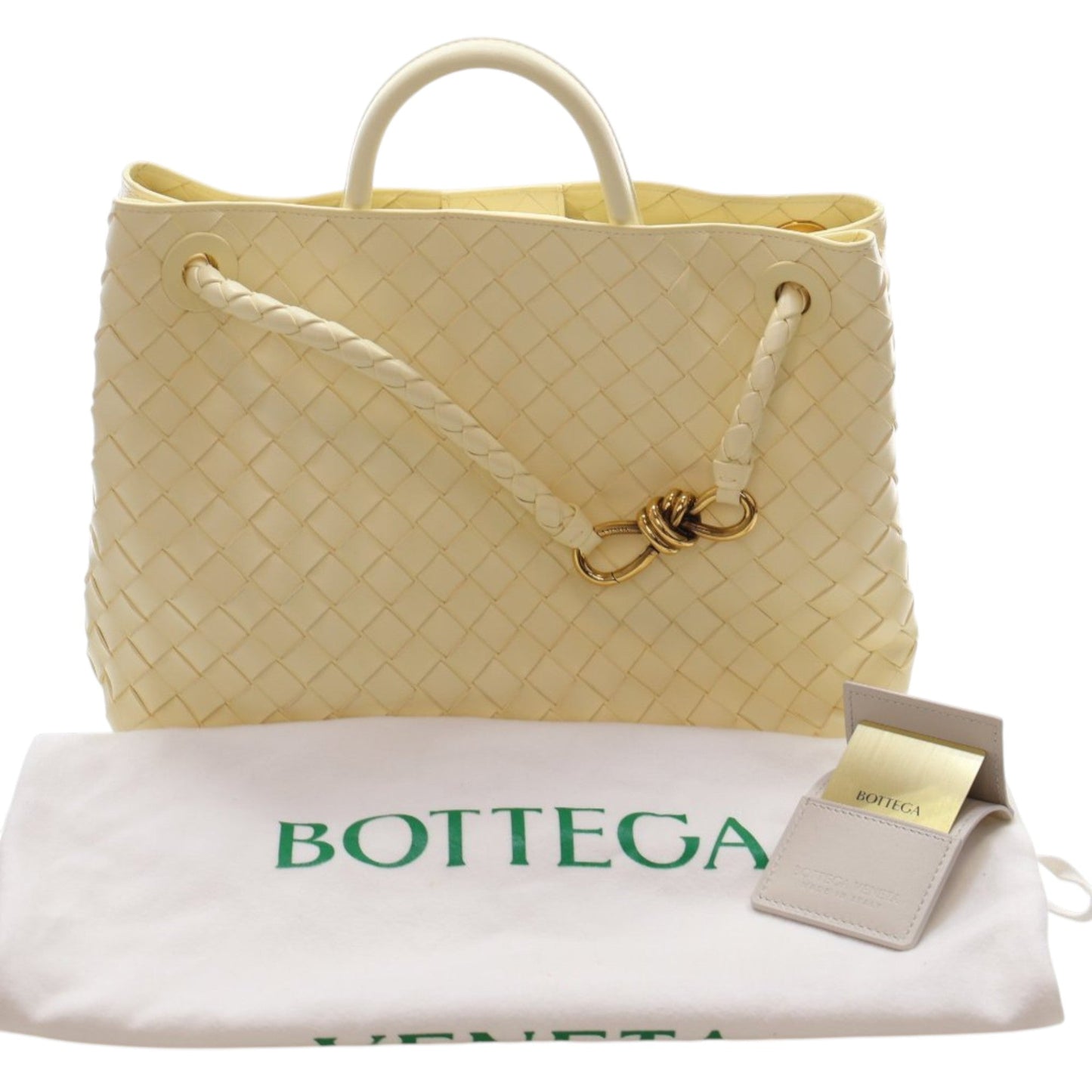 Medium Lambskin Intrecciato Andiamo Bag