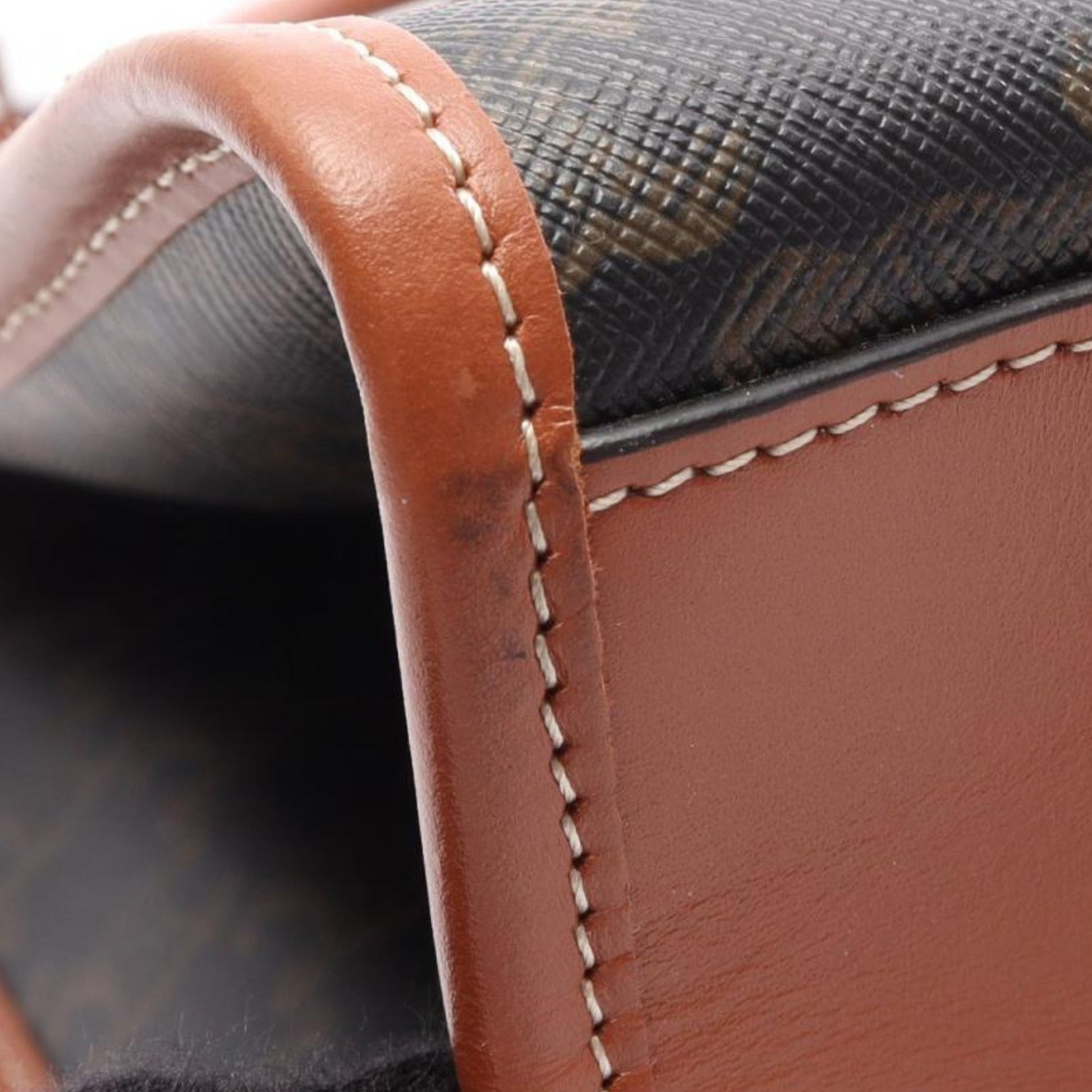 Celine Triomphe Coated Canvas Horizontal Cabas Tote
