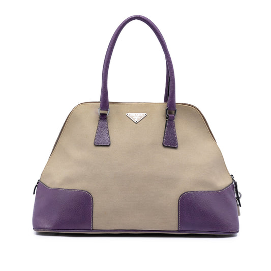 Prada Cinghiale Trimmed Canapa Dome Handbag