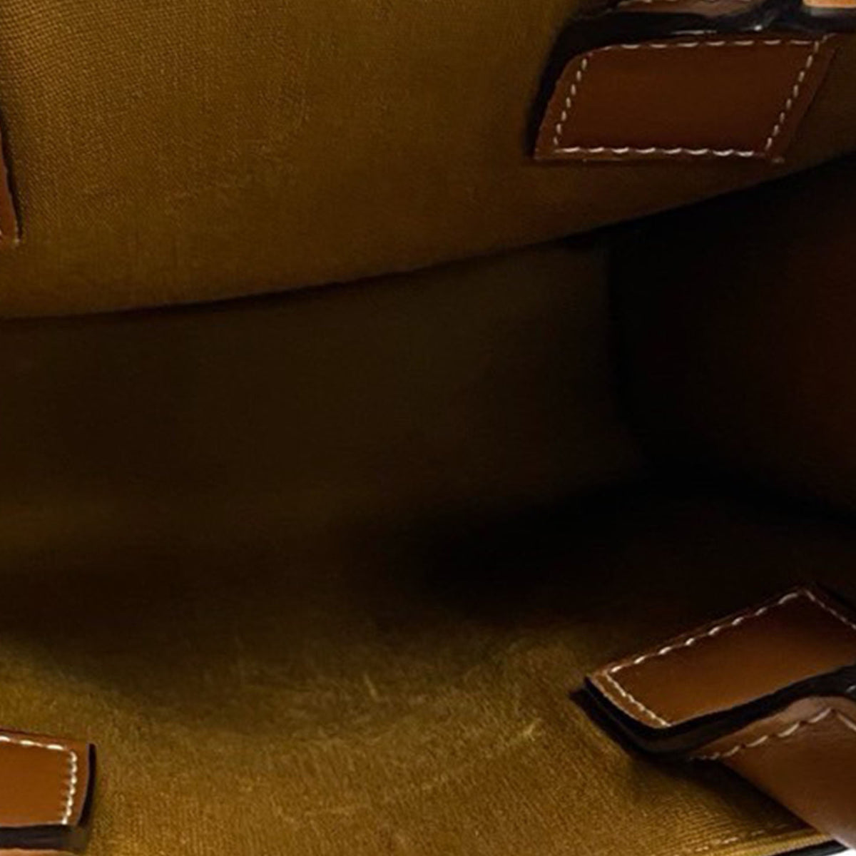 Celine Mini Triomphe Coated Canvas Vertical Cabas Satchel