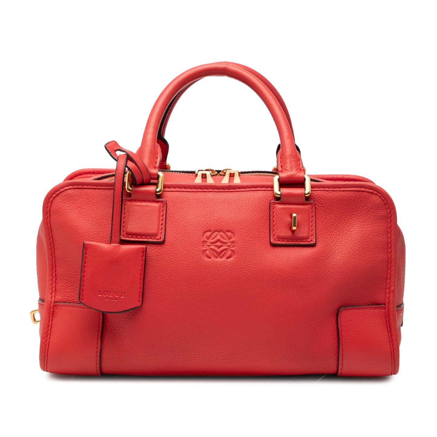 LOEWE Limited Edition Goatskin Amazona 28