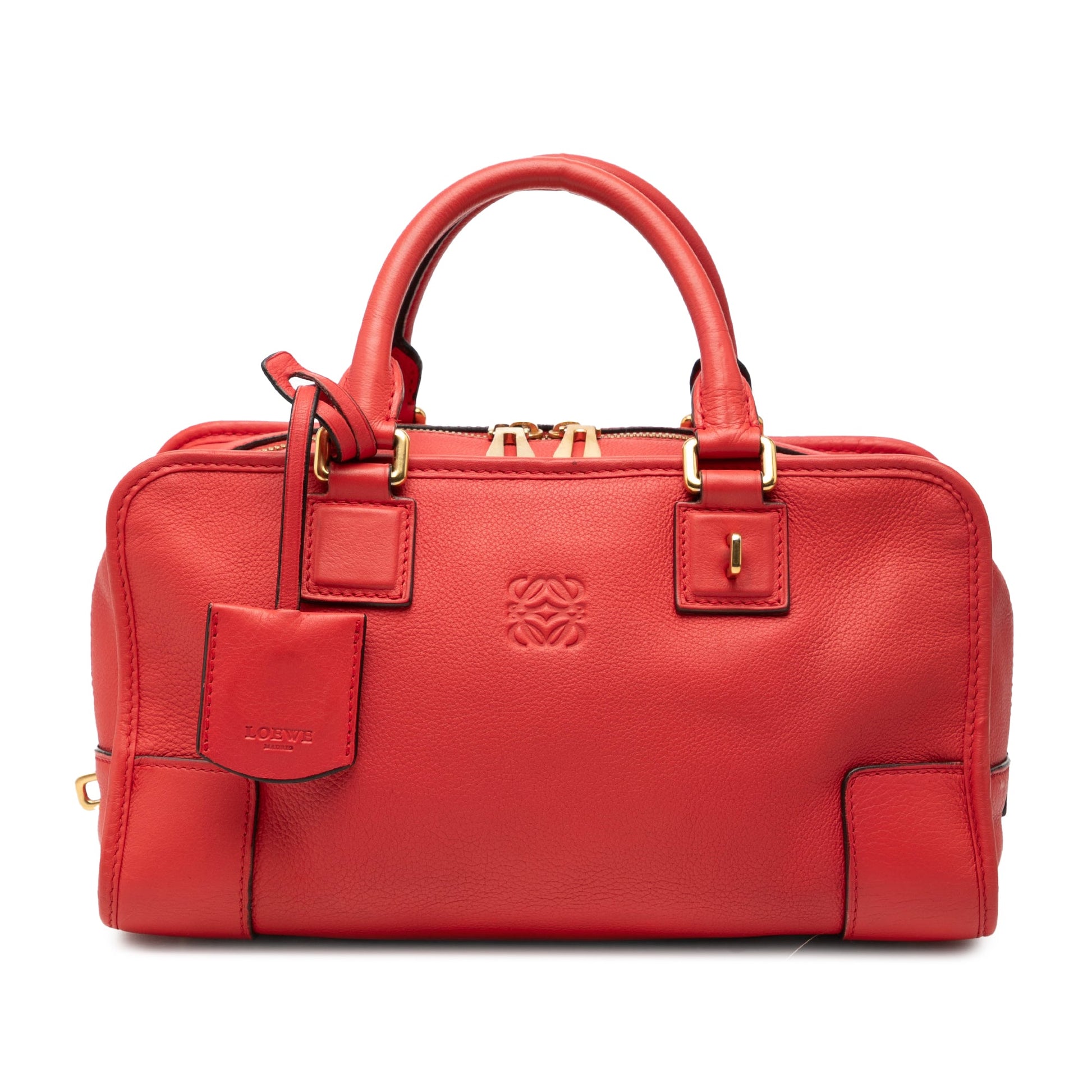 LOEWE Limited Edition Goatskin Amazona 28