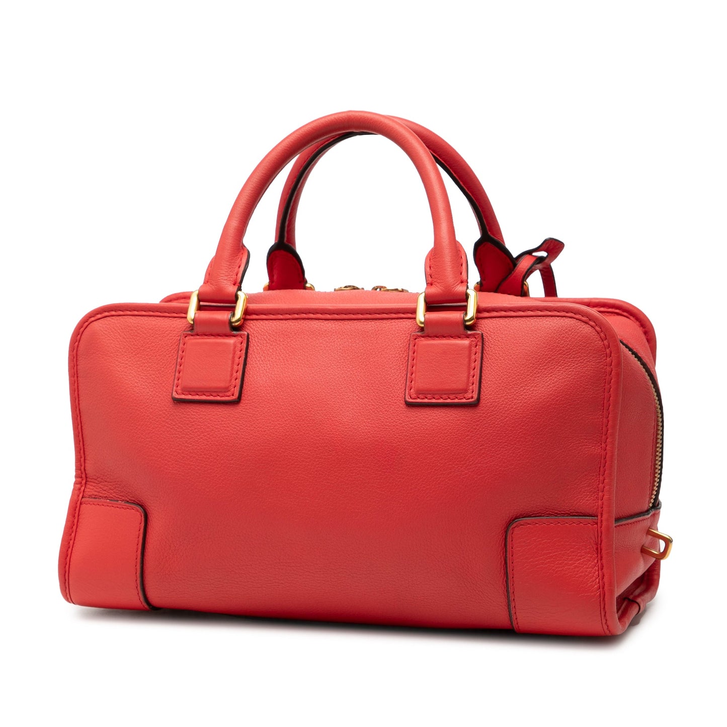 LOEWE Limited Edition Goatskin Amazona 28