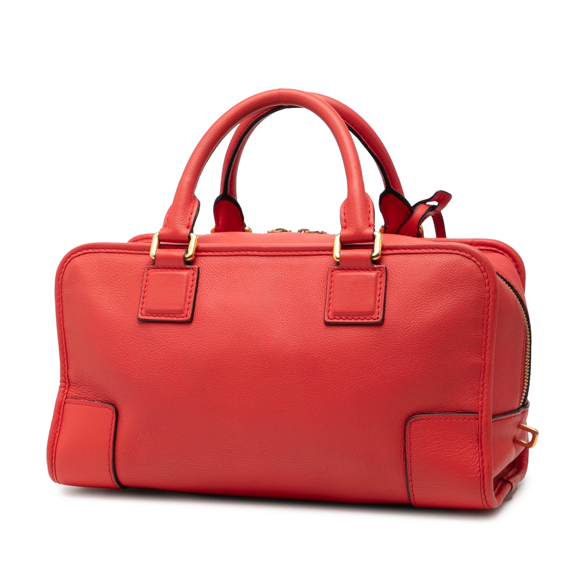 LOEWE Limited Edition Goatskin Amazona 28