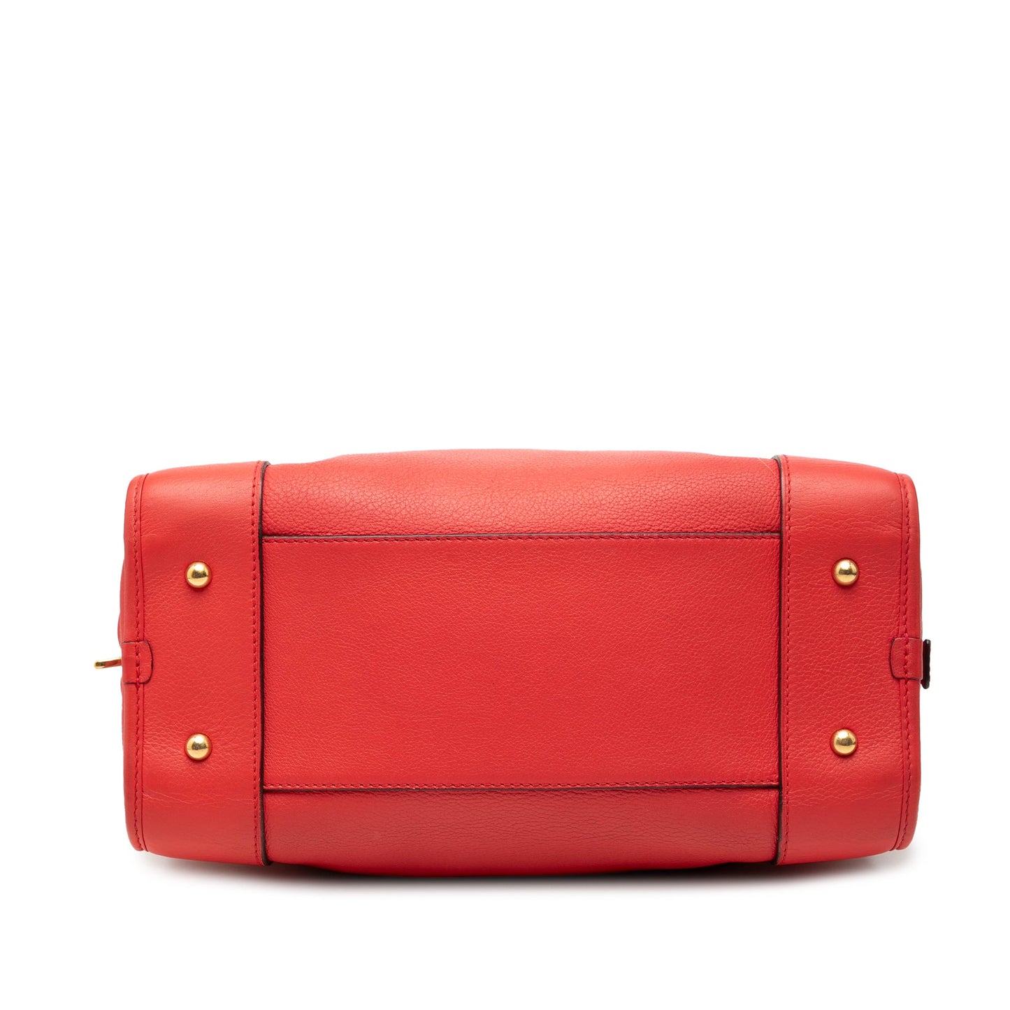 LOEWE Limited Edition Goatskin Amazona 28