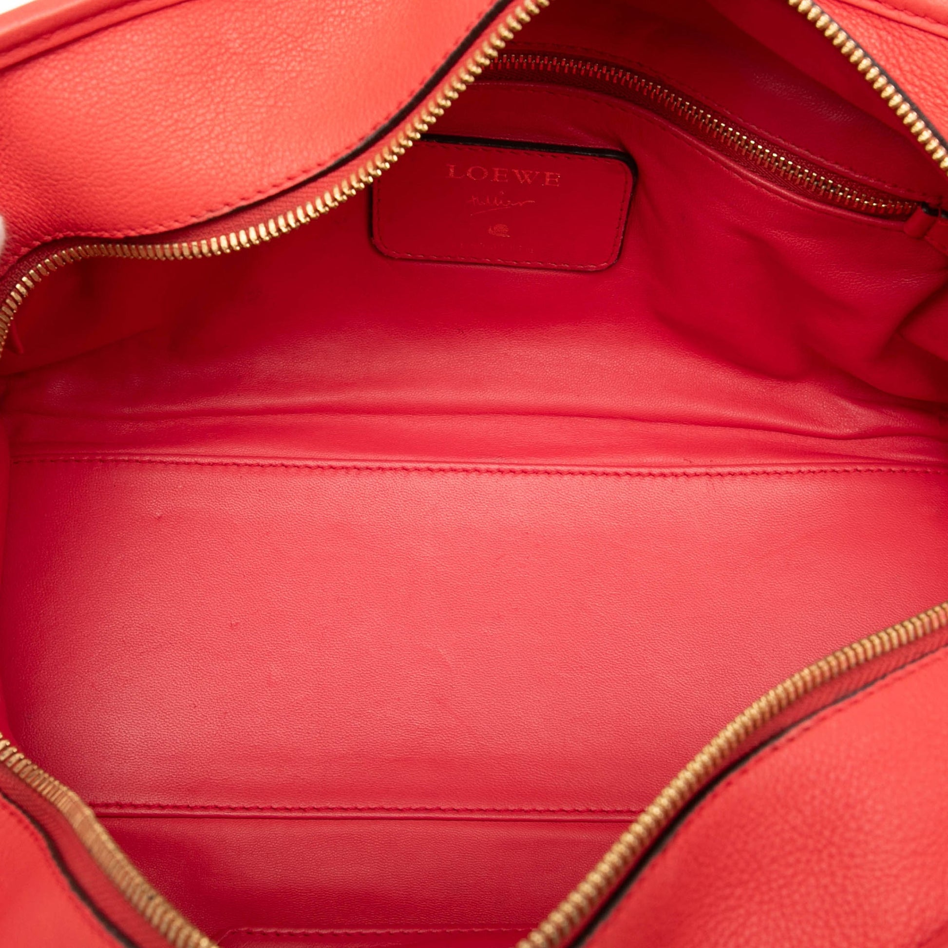 LOEWE Limited Edition Goatskin Amazona 28