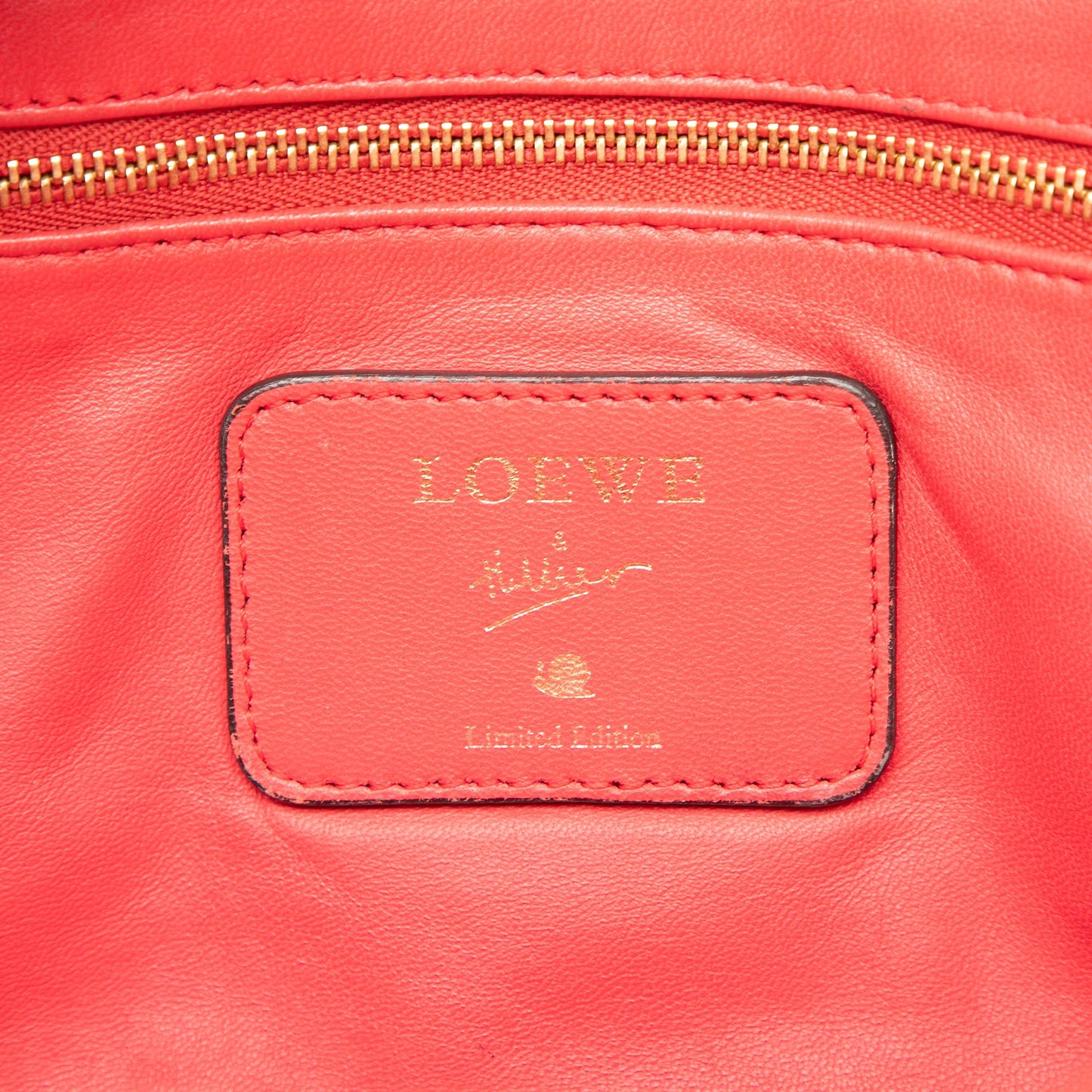 LOEWE Limited Edition Goatskin Amazona 28