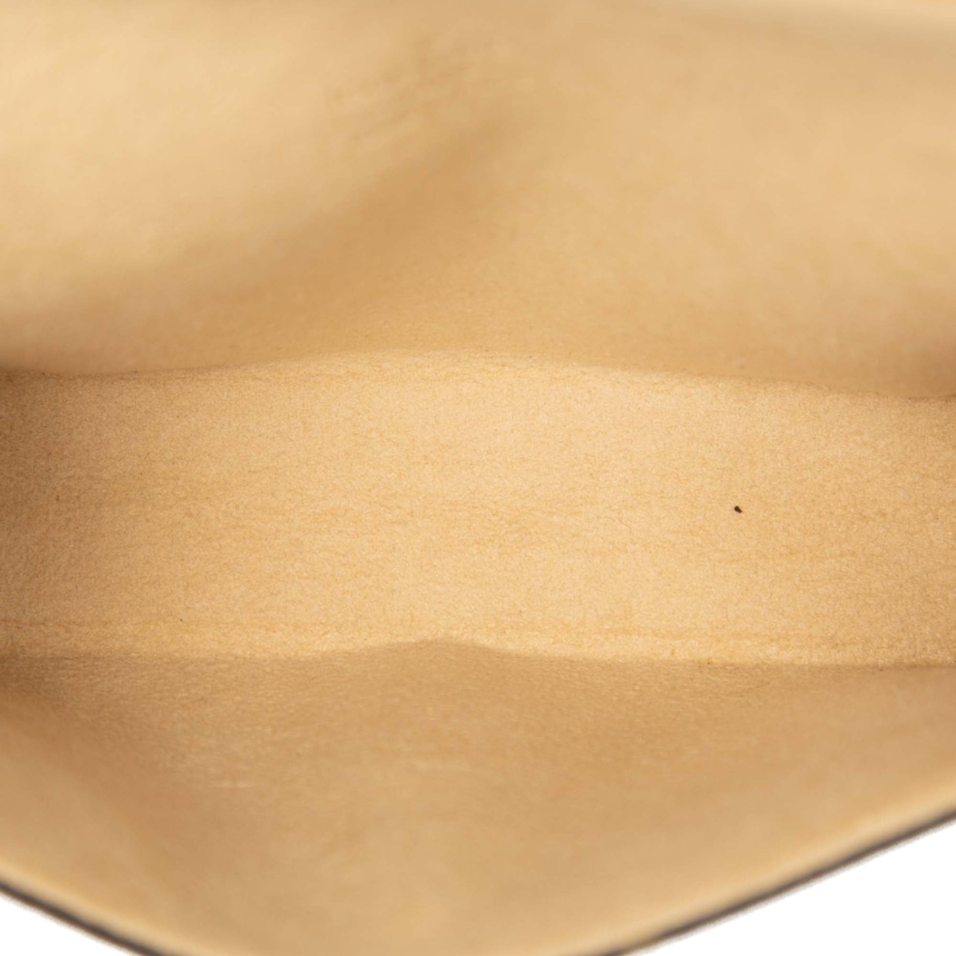 Louis Vuitton Monogram Pochette Florentine