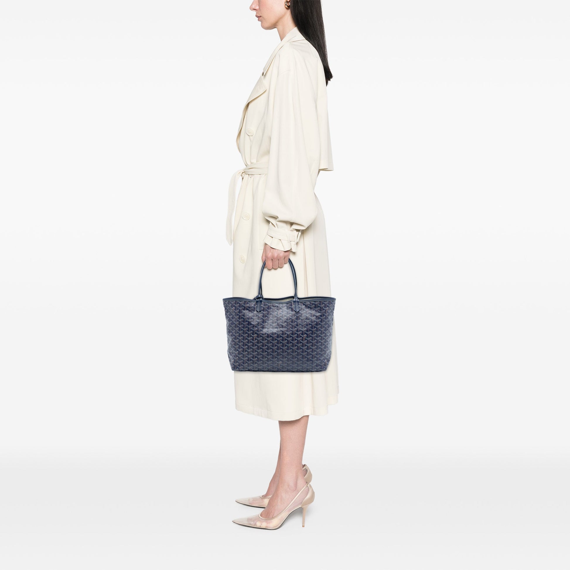 Goyard Goyardine Saint Louis PM
