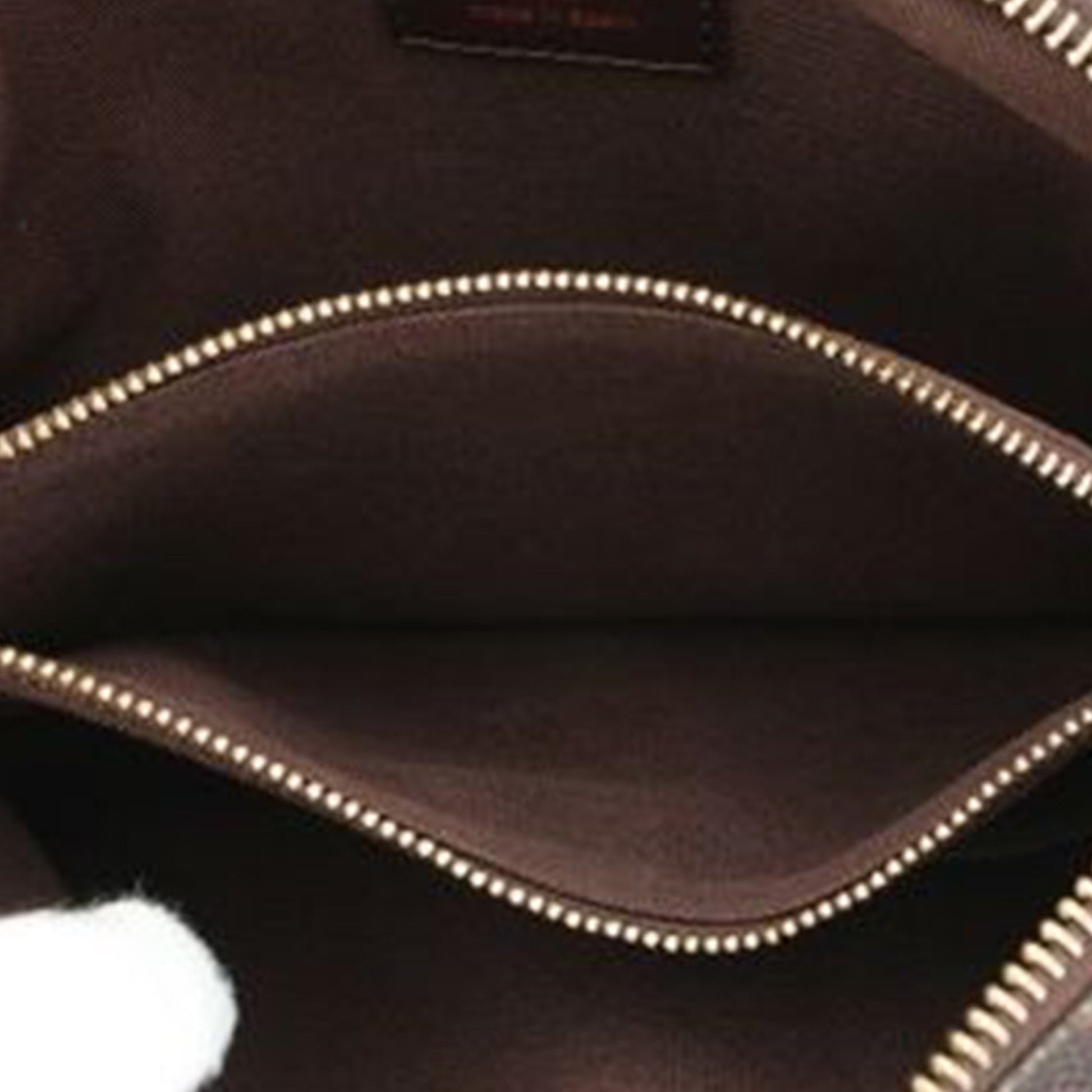 Louis Vuitton Damier Ebene Brooklyn Bum Bag
