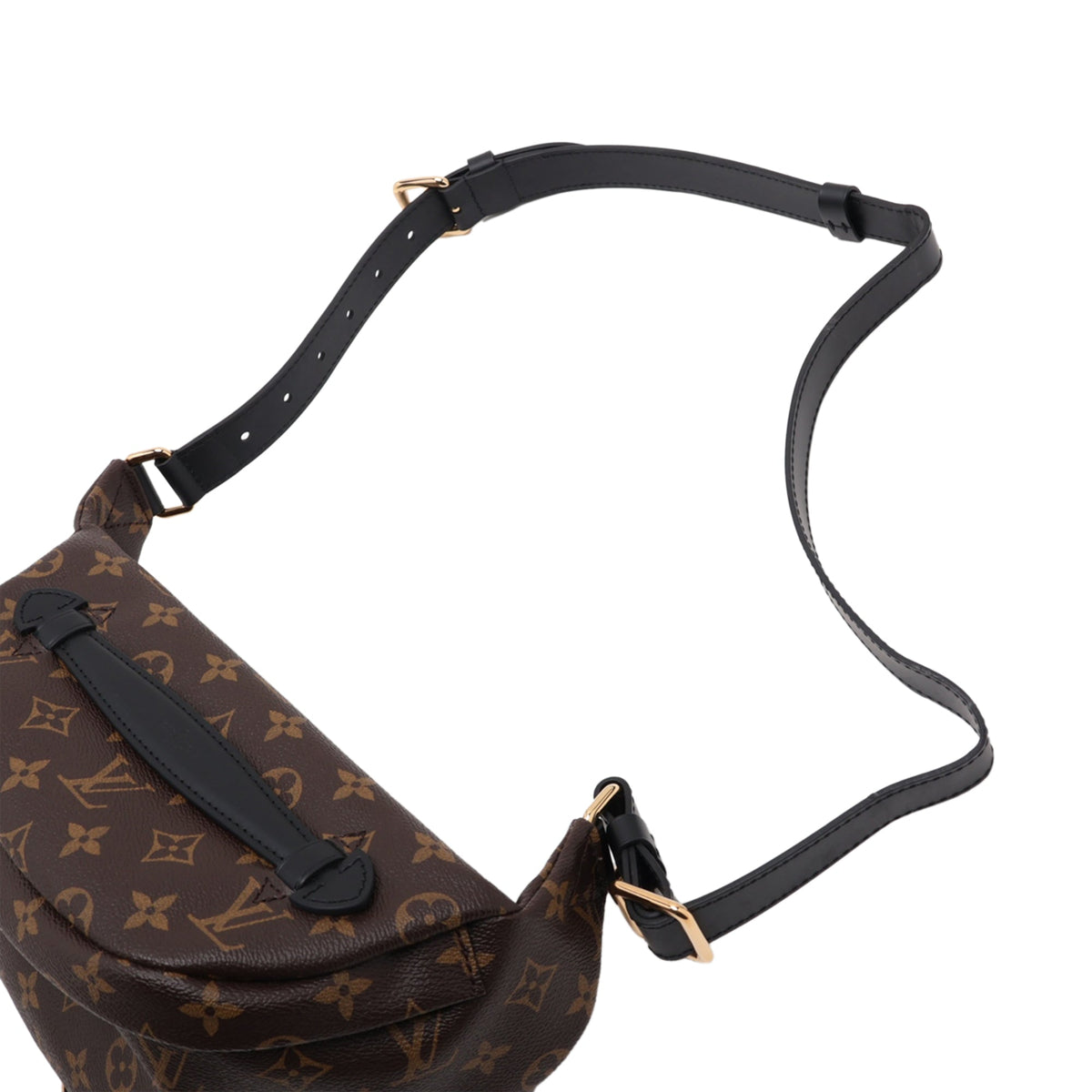 Louis Vuitton Monogram Macassar My LV World Tour Bumbag — Brown