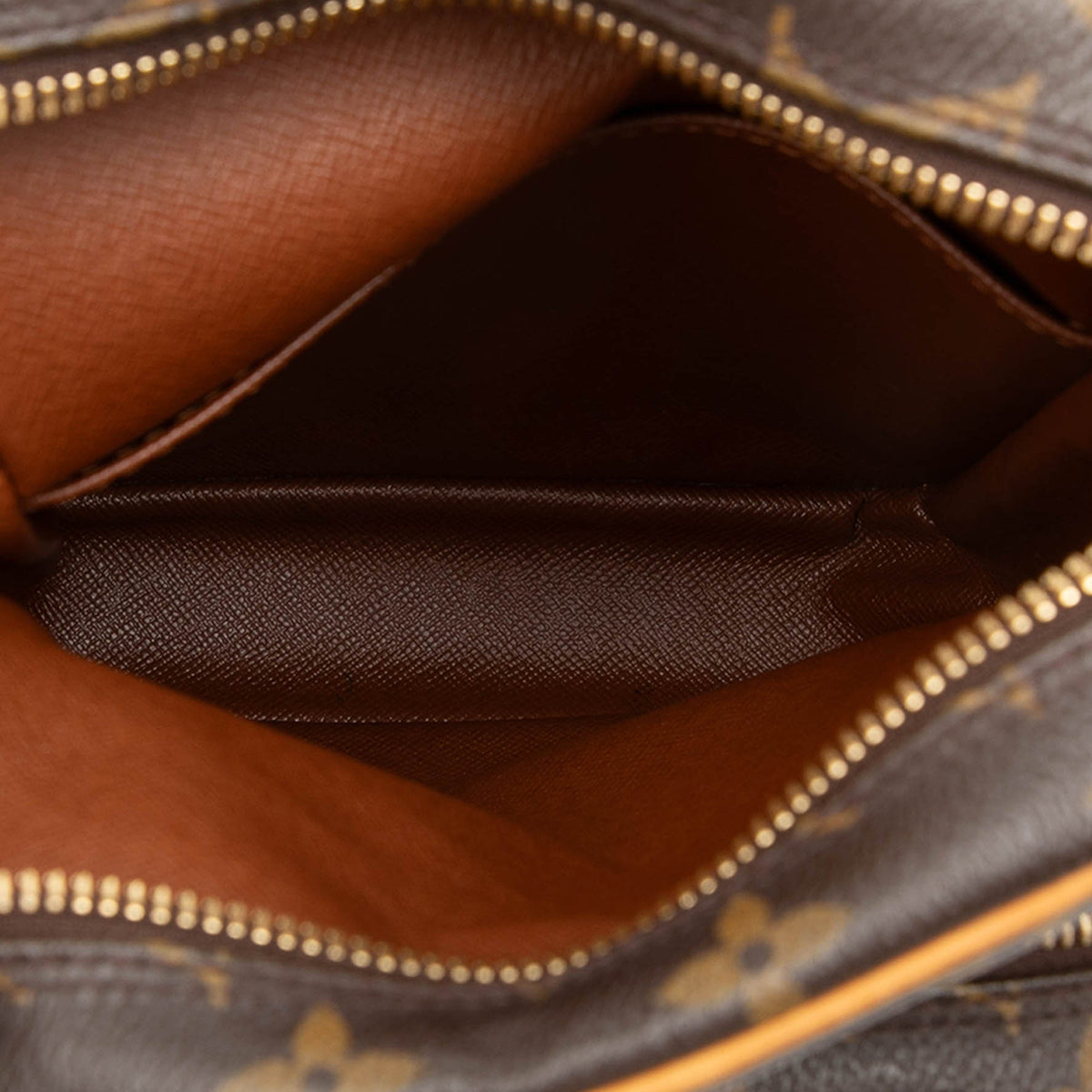 Louis Vuitton Monogram Amazone