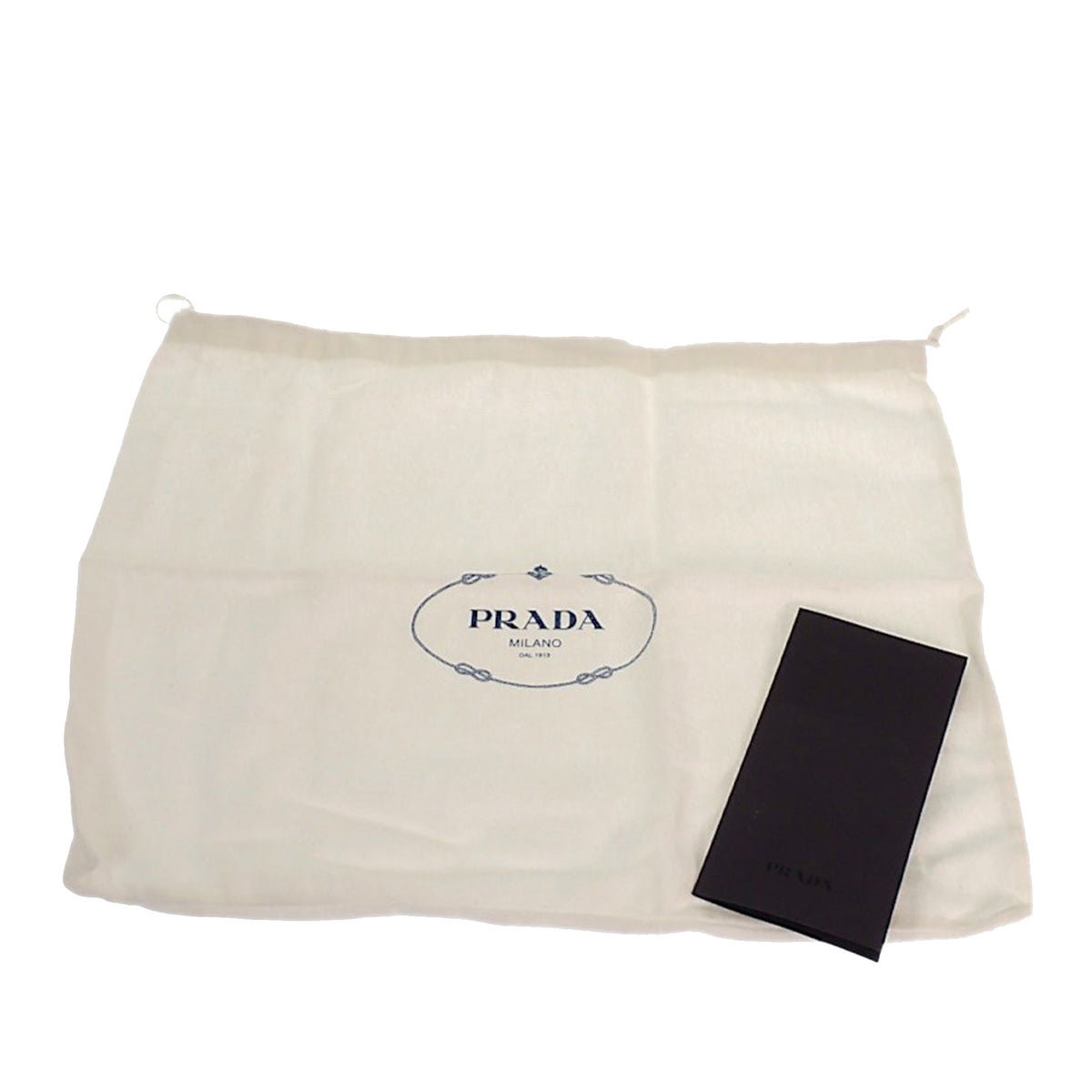 Prada Re Nylon Re Edition 1995 Chaine Shoulder Bag