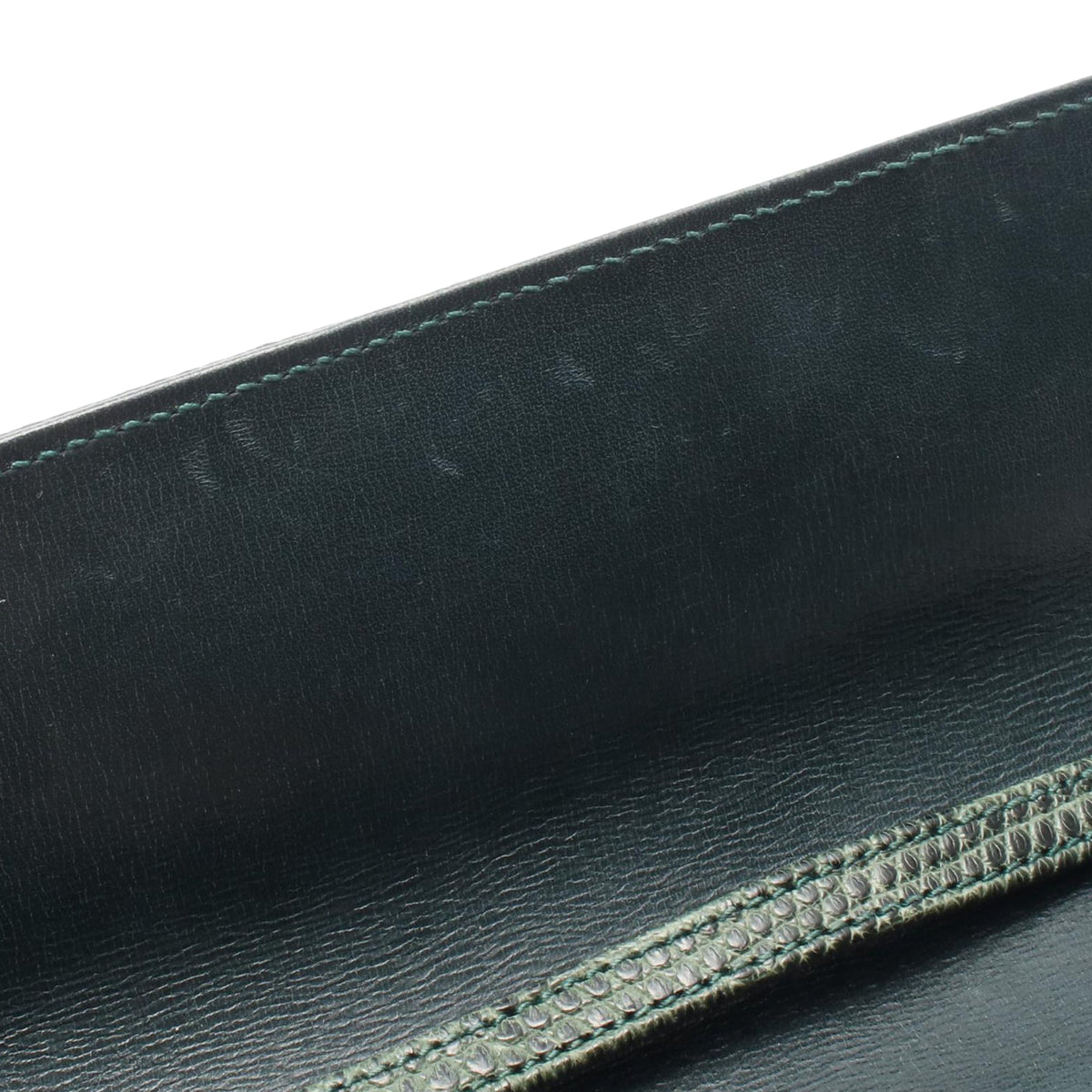 Gucci Snake Skin Crossbody