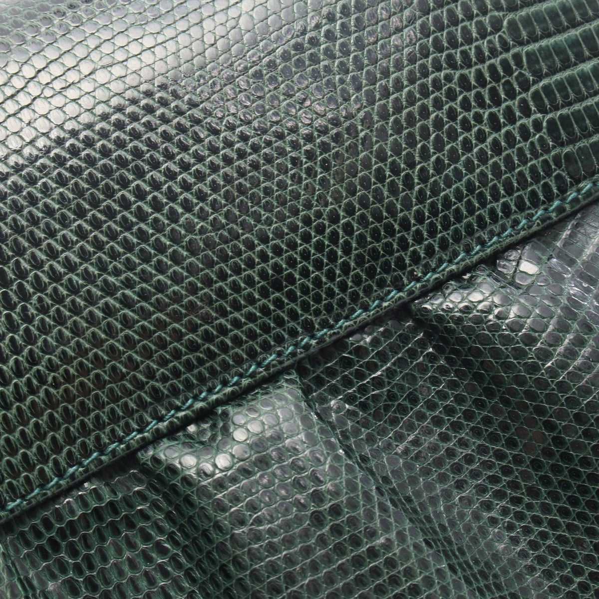 Gucci Snake Skin Crossbody