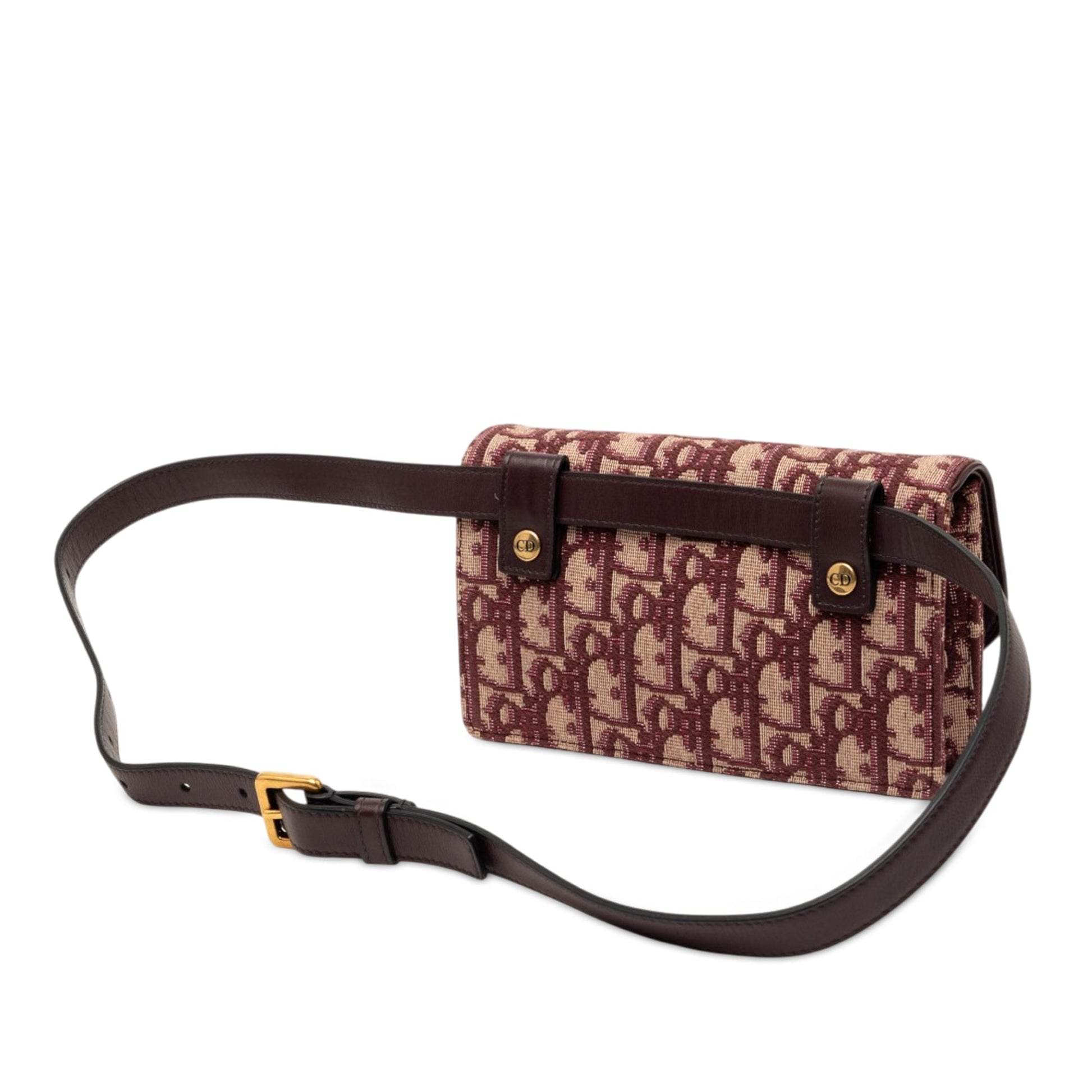 Oblique Canvas Saddle Belt Bag