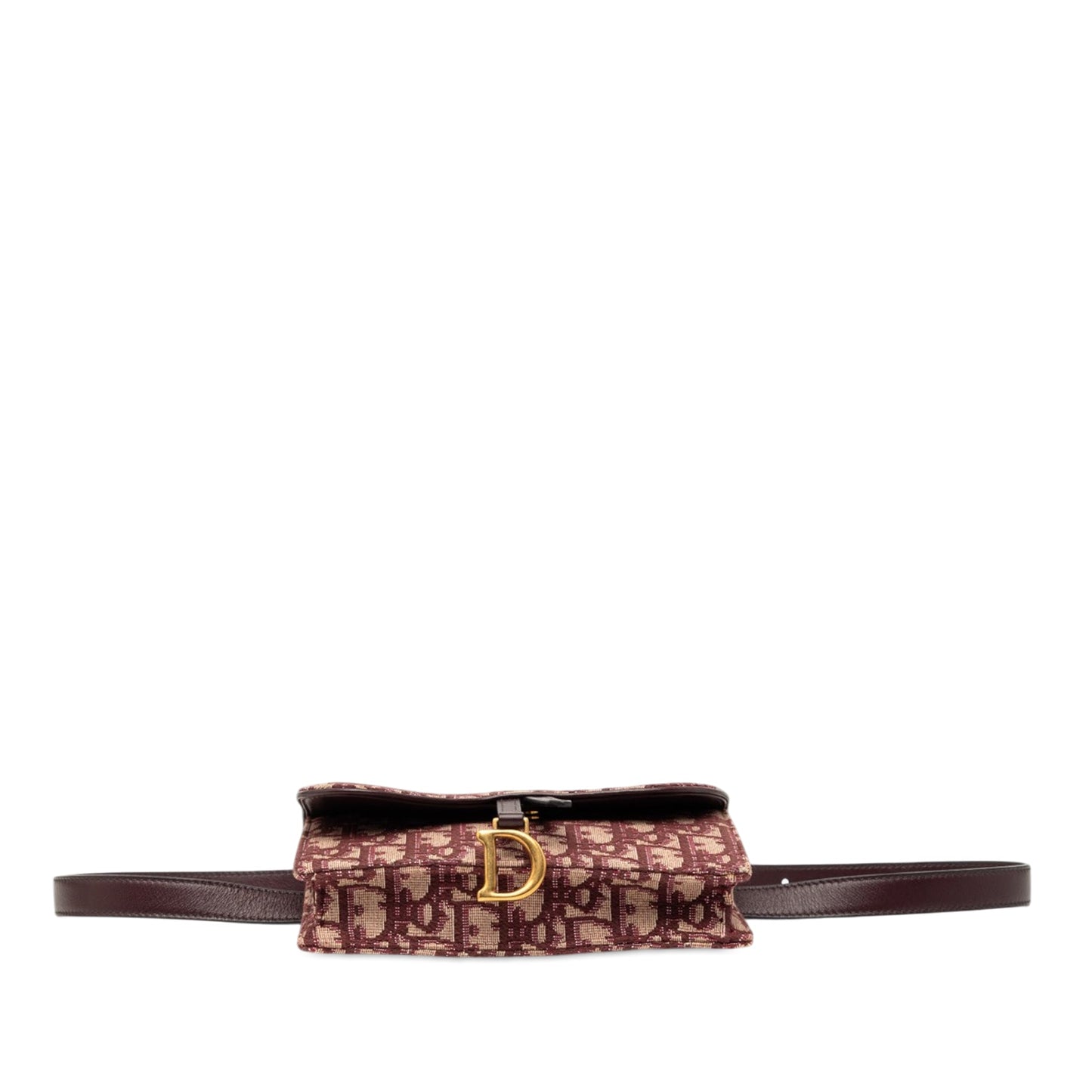 Oblique Canvas Saddle Belt Bag