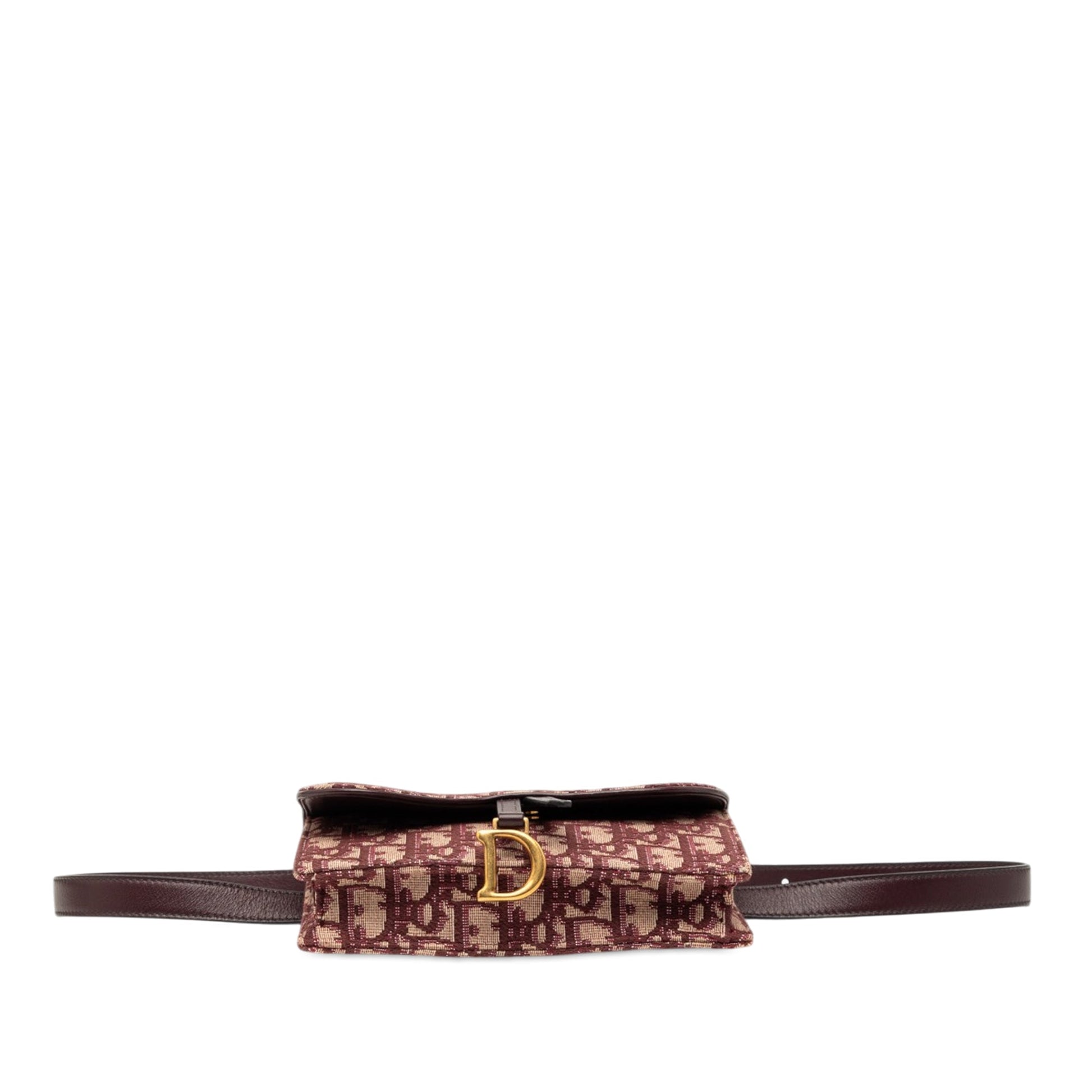 Oblique Canvas Saddle Belt Bag