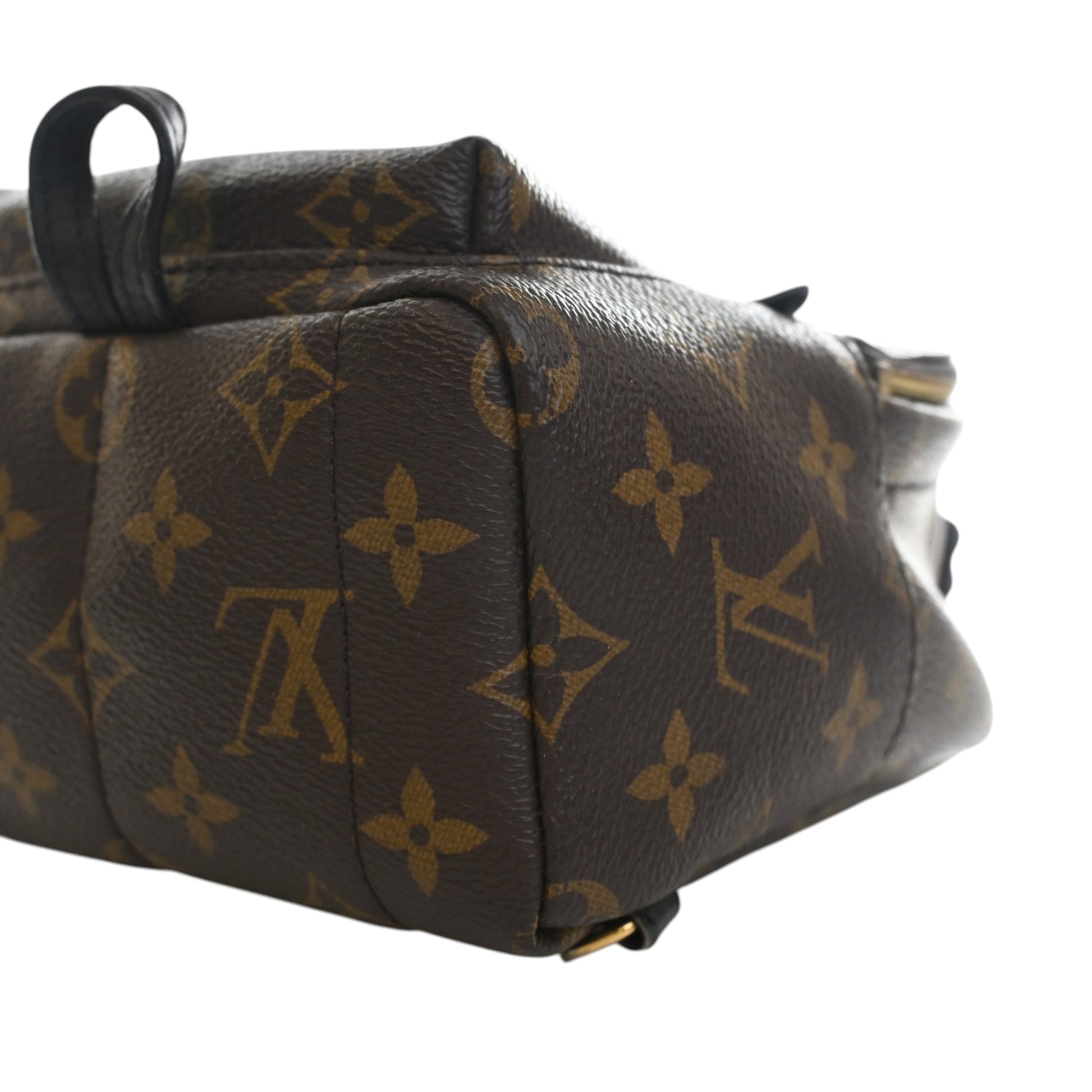 Louis Vuitton Monogram Mini Palm Springs