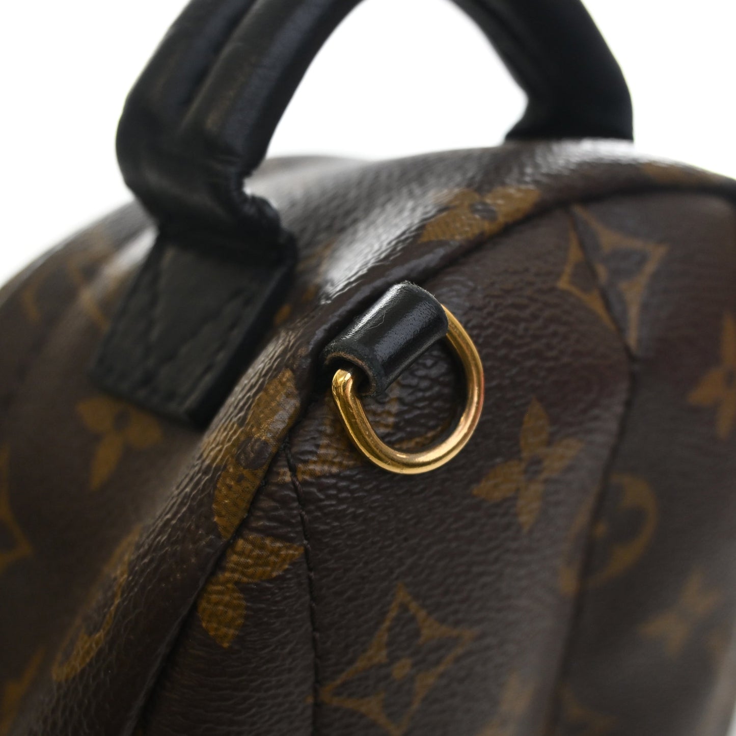 Louis Vuitton Monogram Mini Palm Springs
