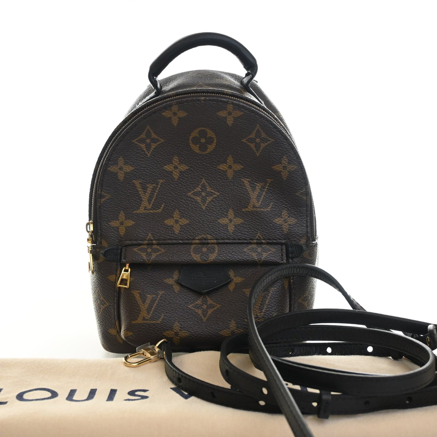 Louis Vuitton Monogram Mini Palm Springs