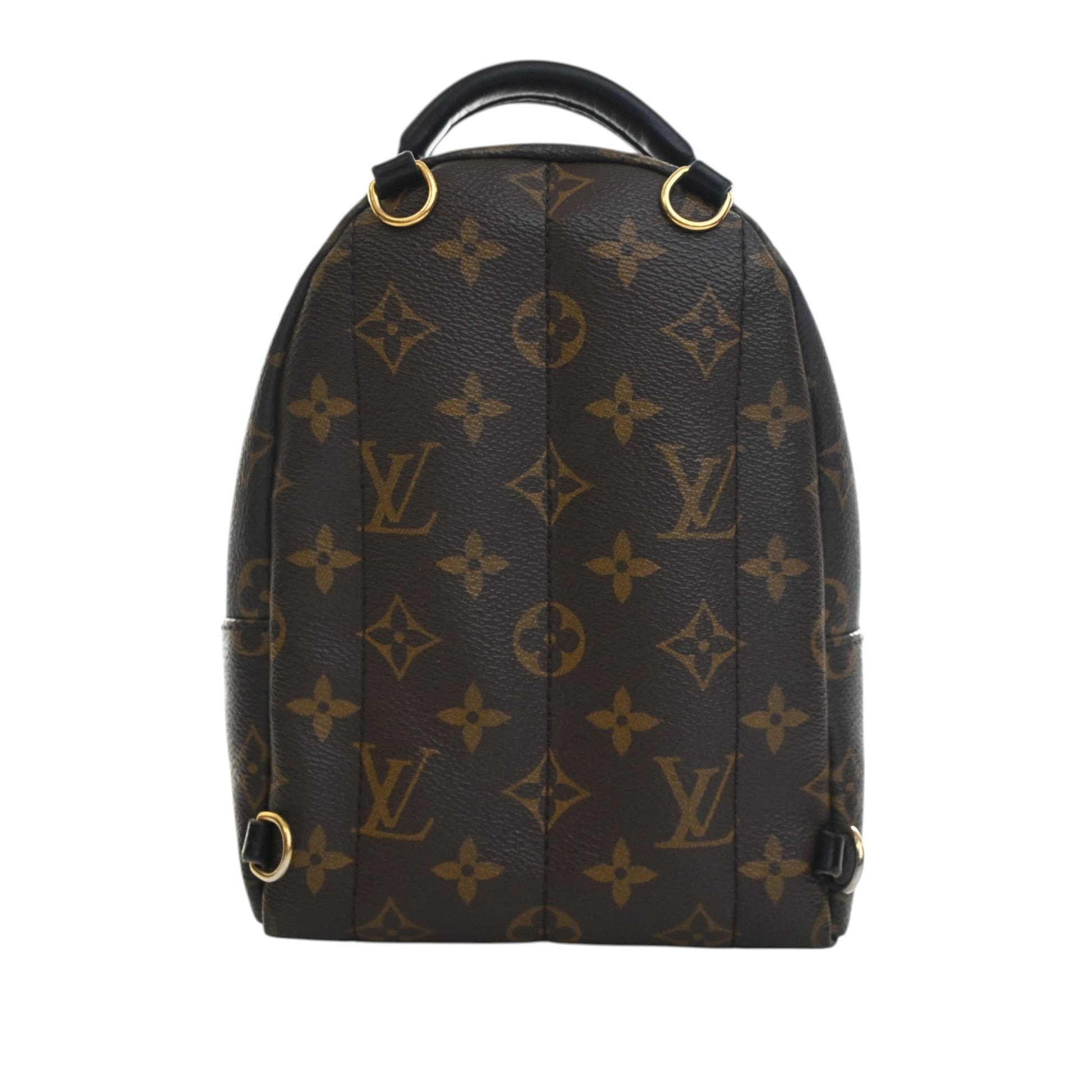 Louis Vuitton Monogram Mini Palm Springs