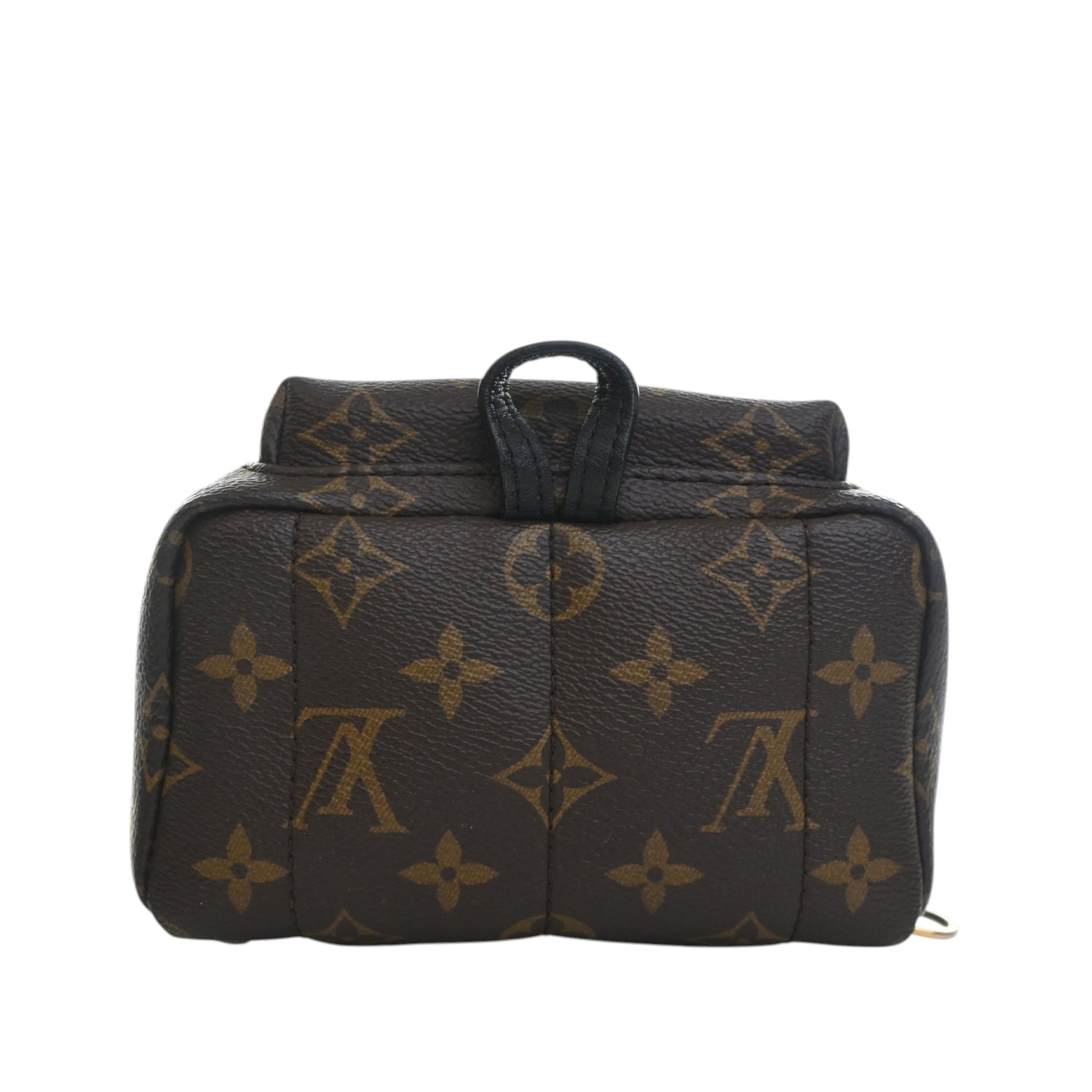 Louis Vuitton Monogram Mini Palm Springs