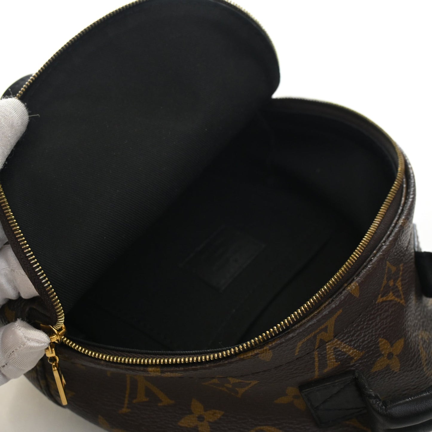 Louis Vuitton Monogram Mini Palm Springs
