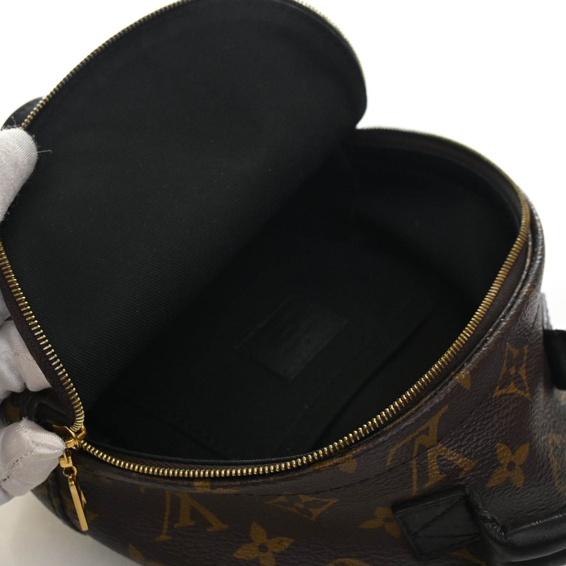 Louis Vuitton Monogram Mini Palm Springs