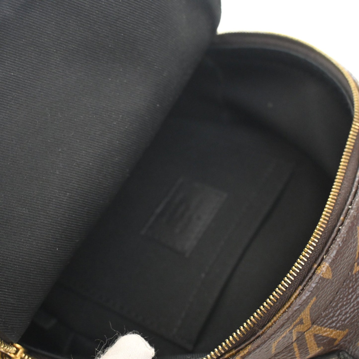 Louis Vuitton Monogram Mini Palm Springs