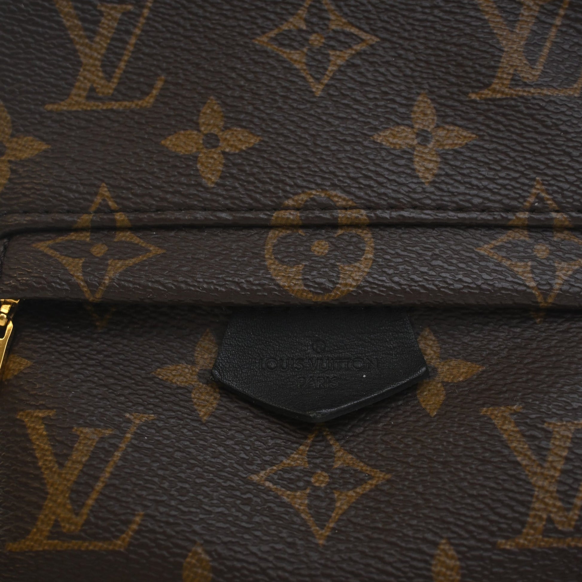 Louis Vuitton Monogram Mini Palm Springs