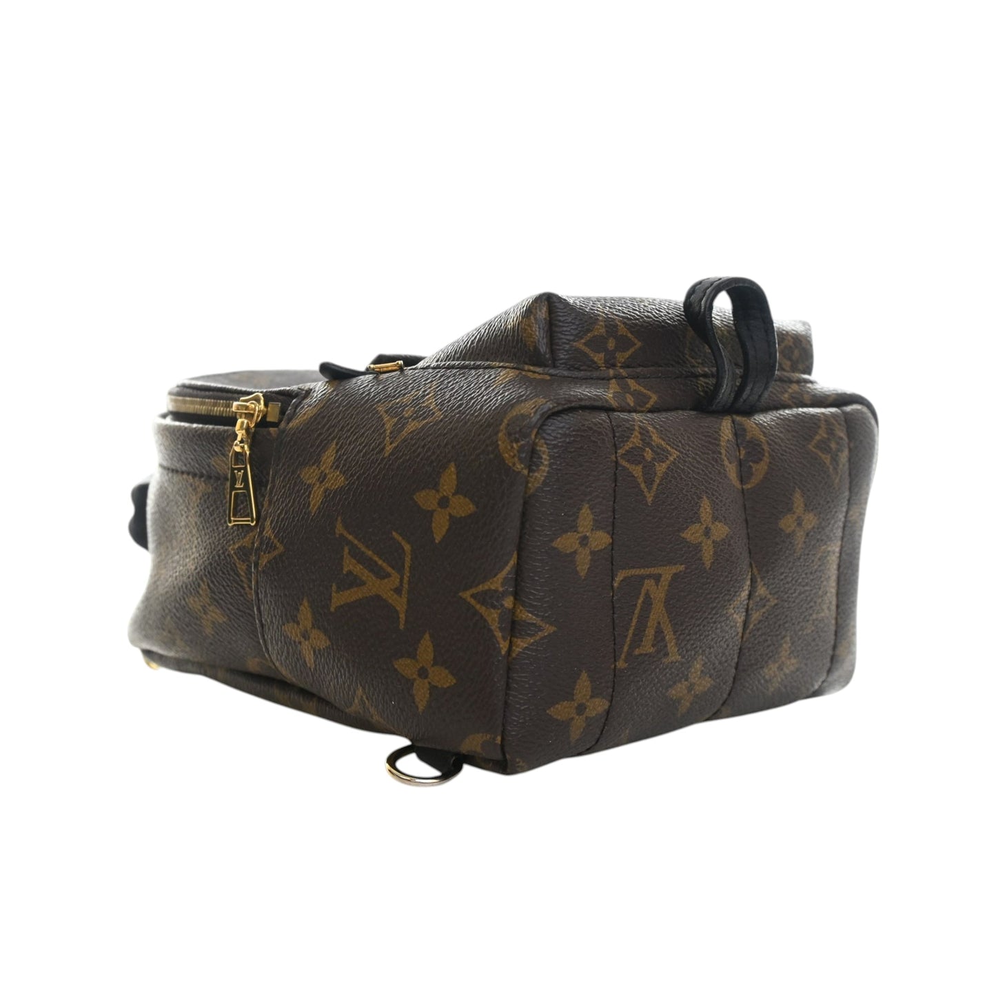 Louis Vuitton Monogram Mini Palm Springs