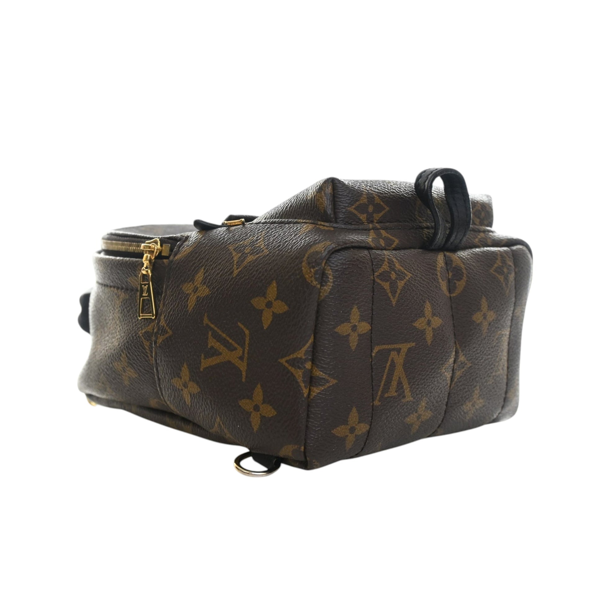 Louis Vuitton Monogram Mini Palm Springs