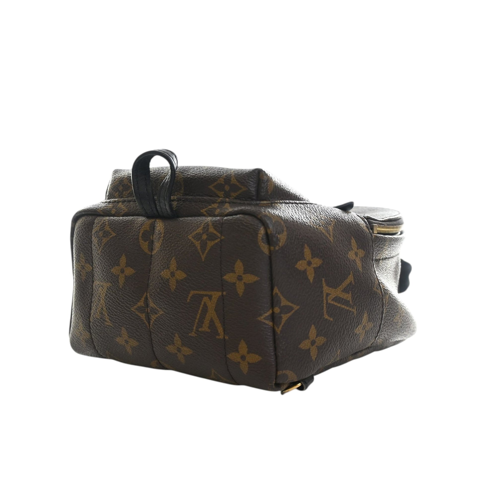 Louis Vuitton Monogram Mini Palm Springs