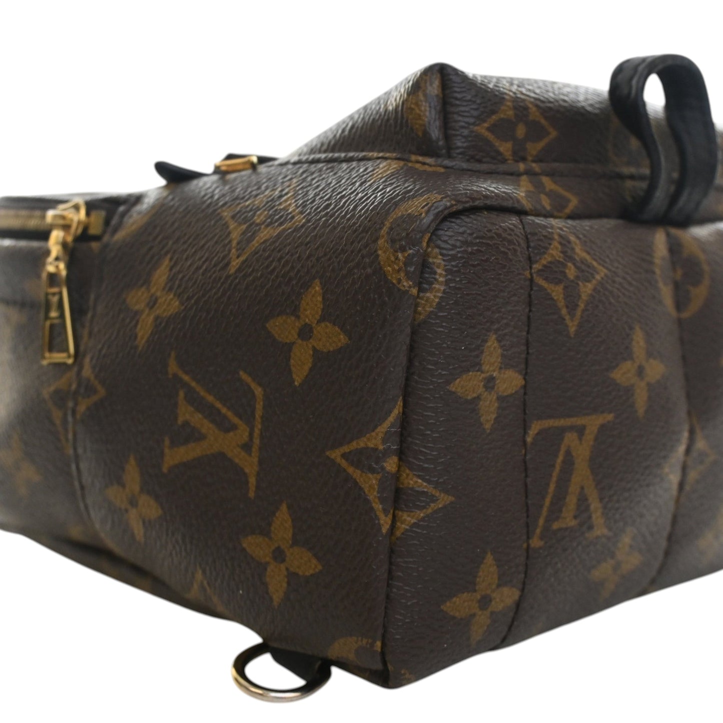 Louis Vuitton Monogram Mini Palm Springs