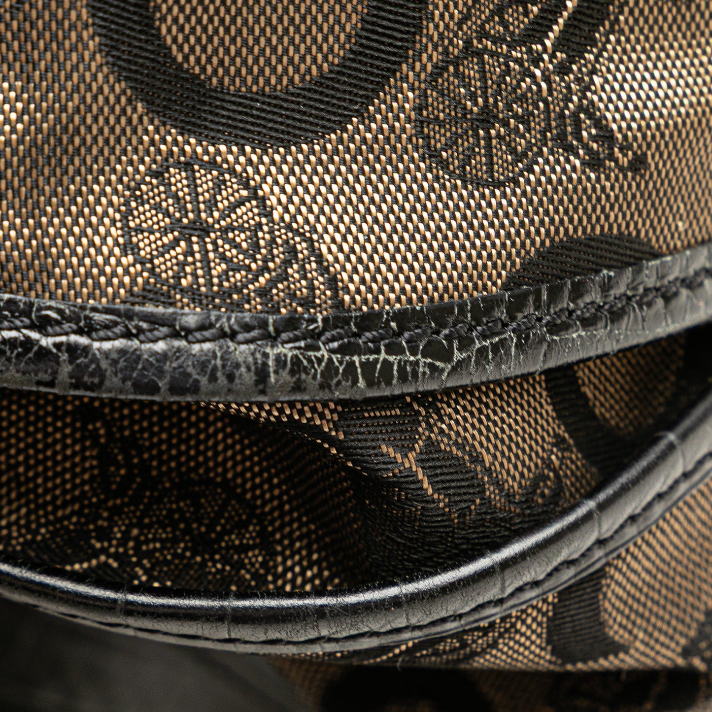 Celine C Carriage Canvas Bittersweet Hobo