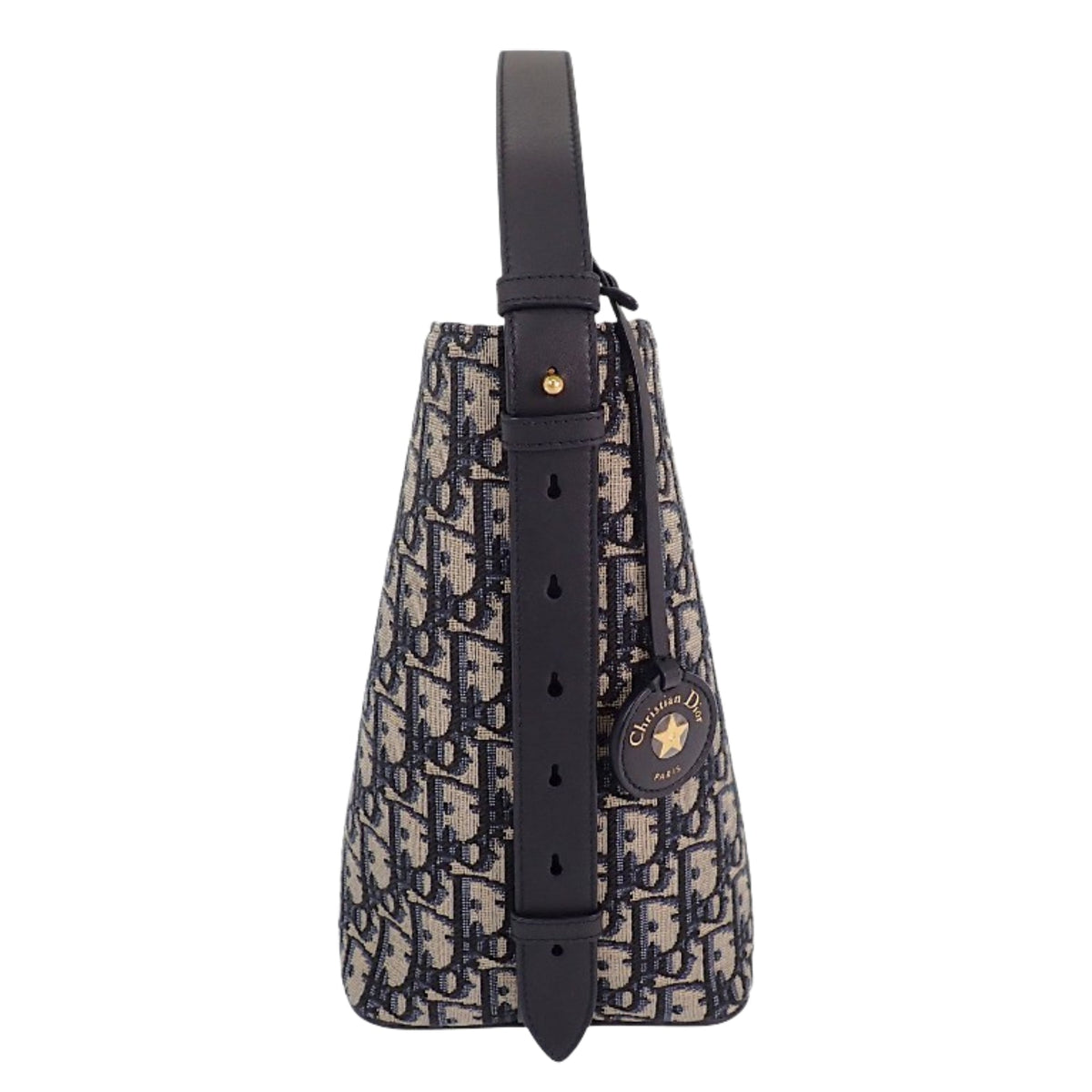 Dior Small Oblique Canvas Diorstar Bucket Bag