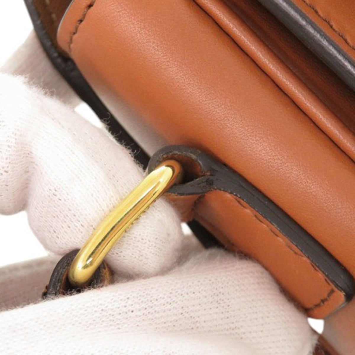 Celine Classique Canvas and Calfskin Triomphe Crossbody